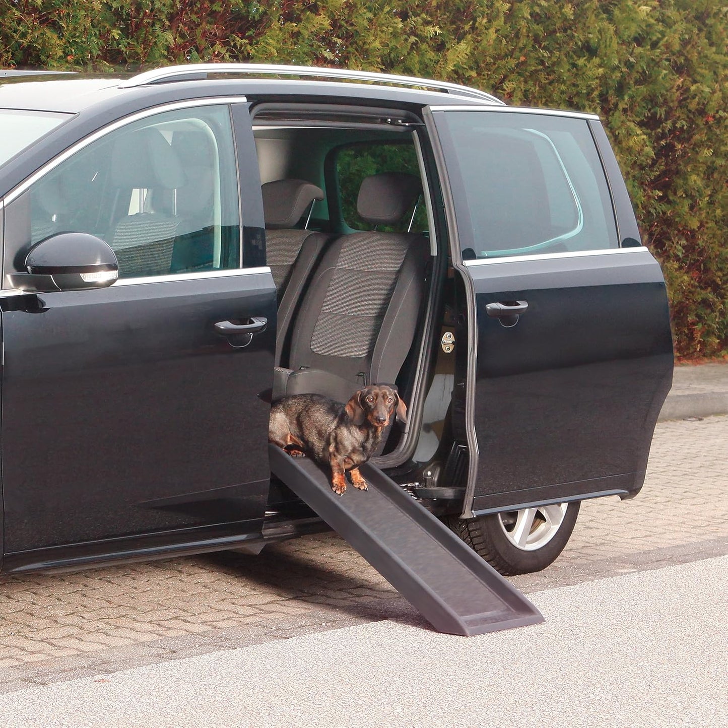 3942 Hunderampe Petwalk, Kleine Rampe
