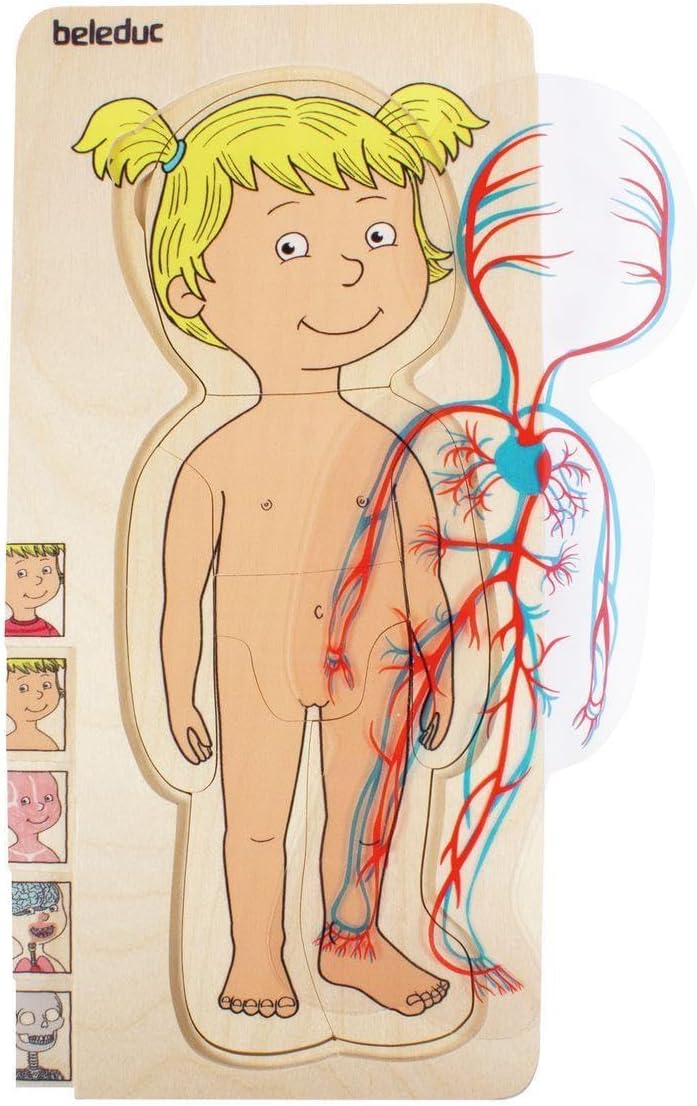 Dein Körper Mädchen, Lagen-Puzzle "Dein Körper" Mädchen