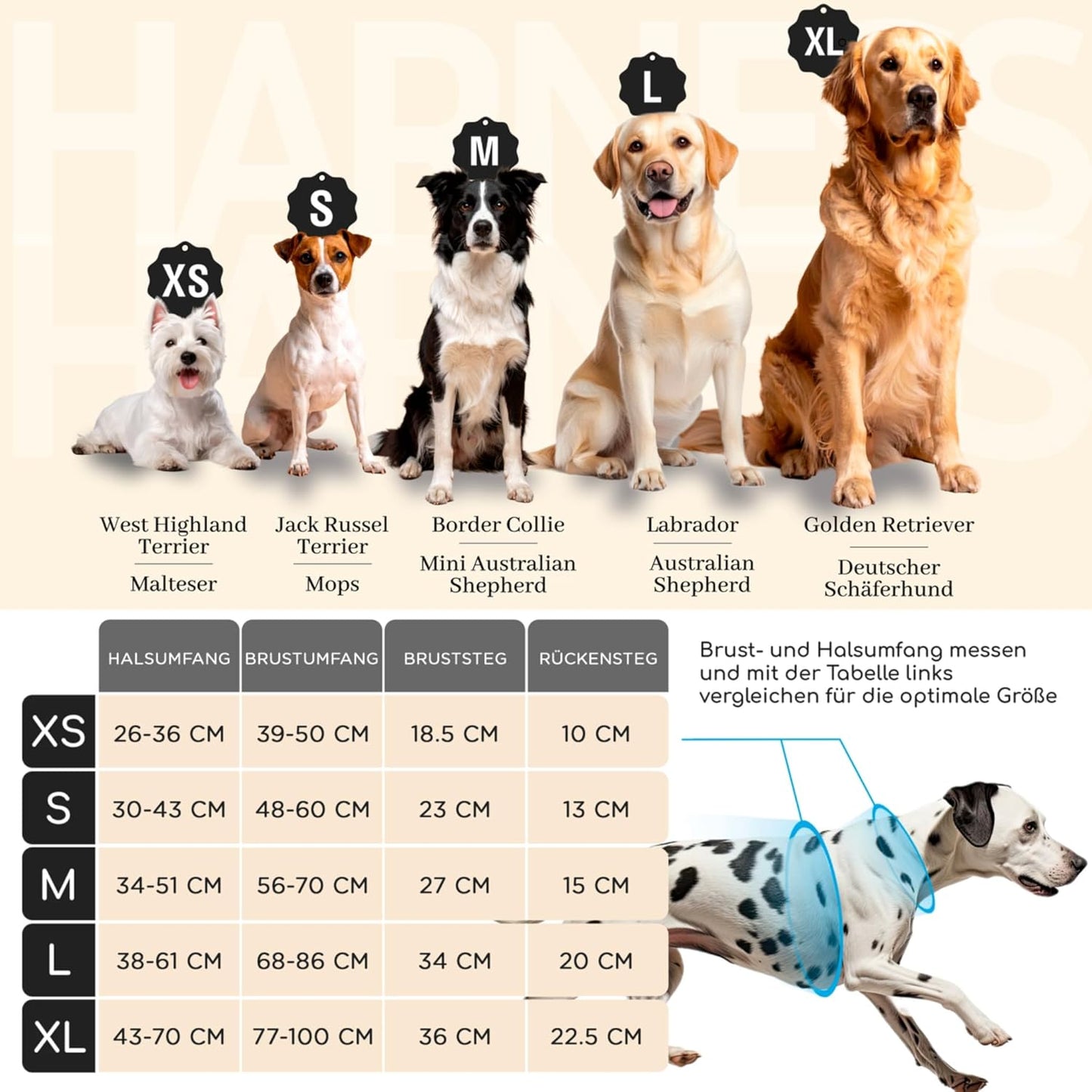 Hundegeschirr mit Polsterung, M Orange