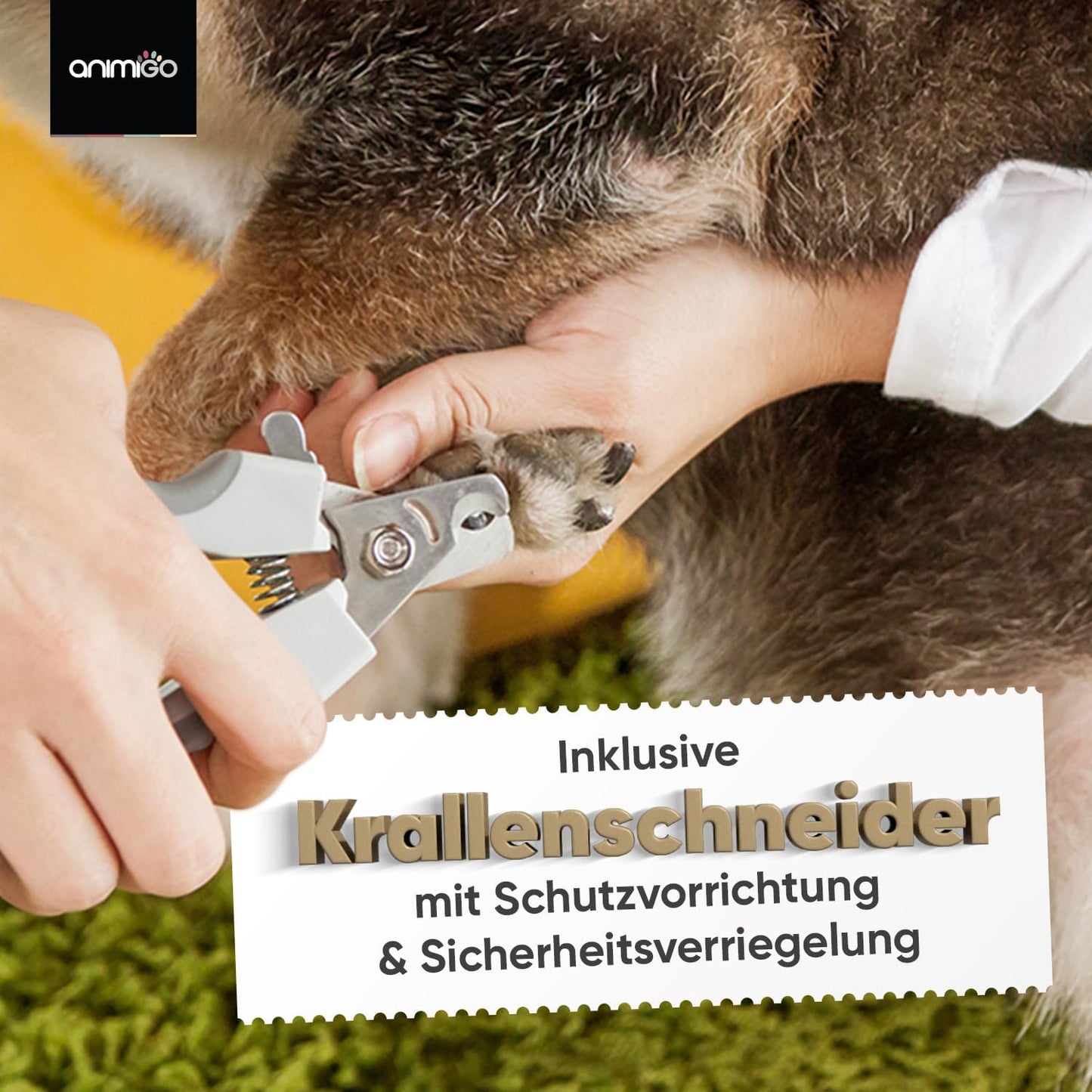 Krallenschleifer und Krallenscheren-Set