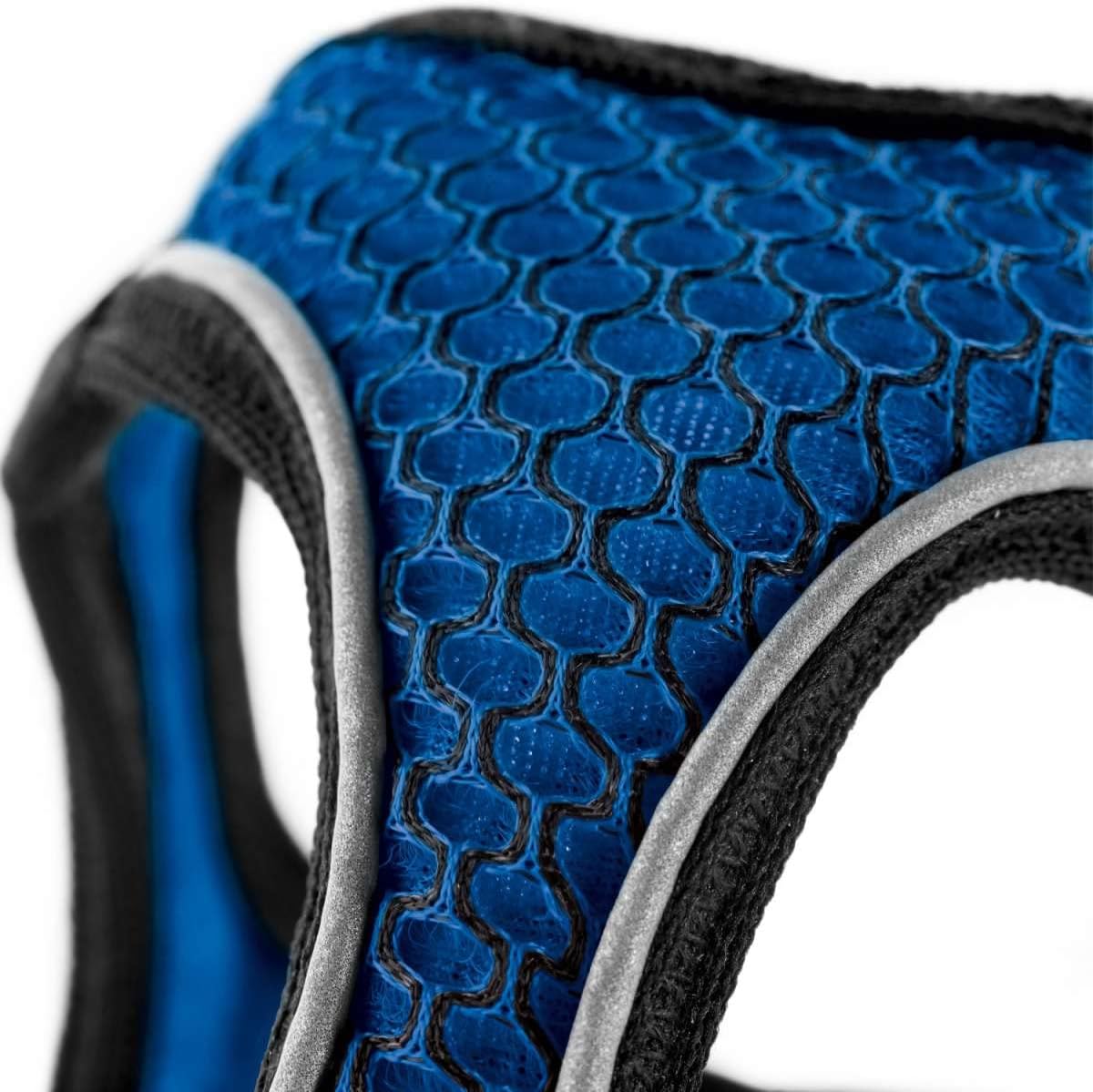 Hilo Comfort Geschirr, Blau, S-M
