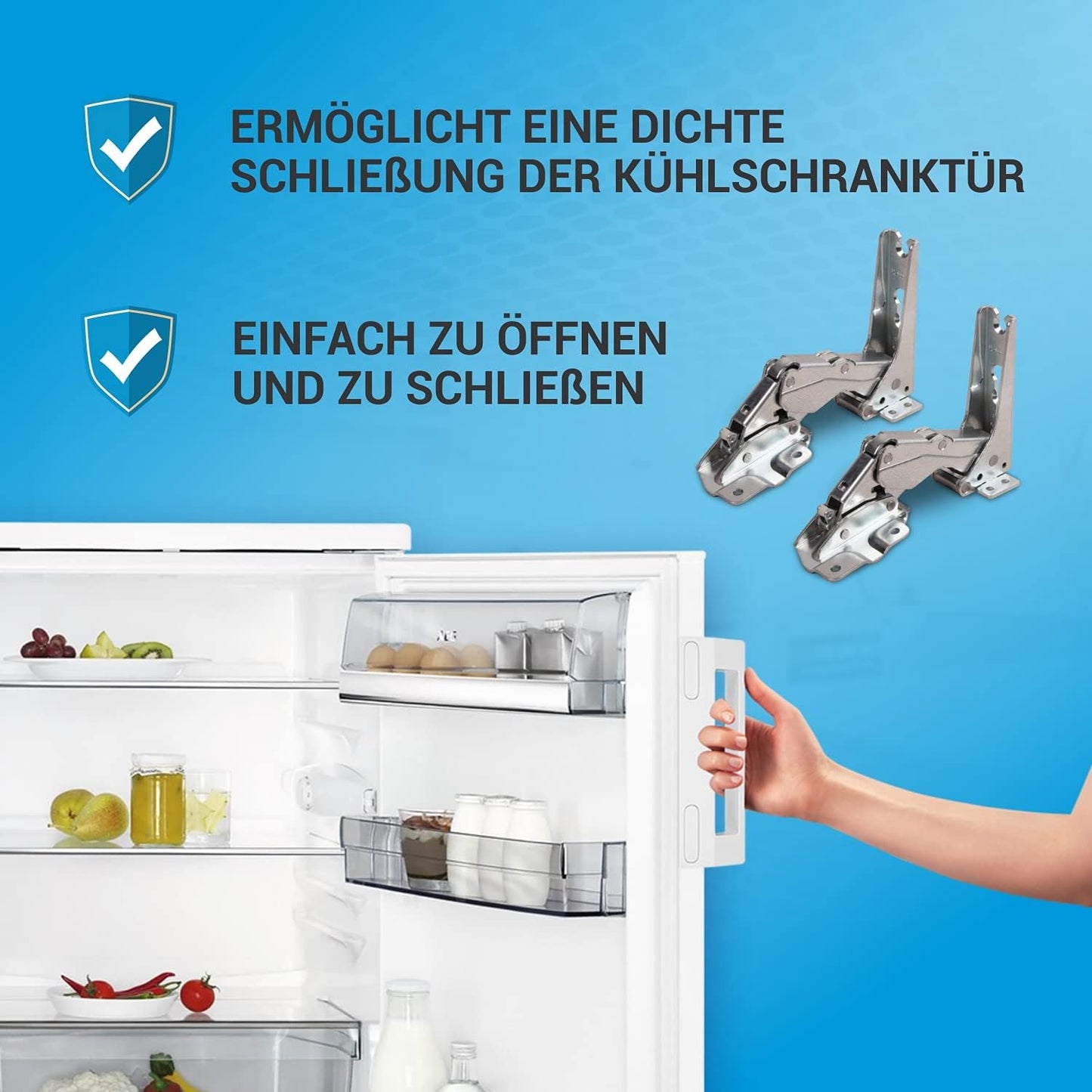 Türscharnier-Set für AEG und Küppersbusch Kühlschranke, Typ 3