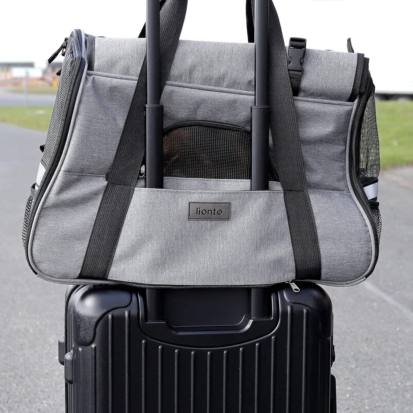 Hundetasche, Grau