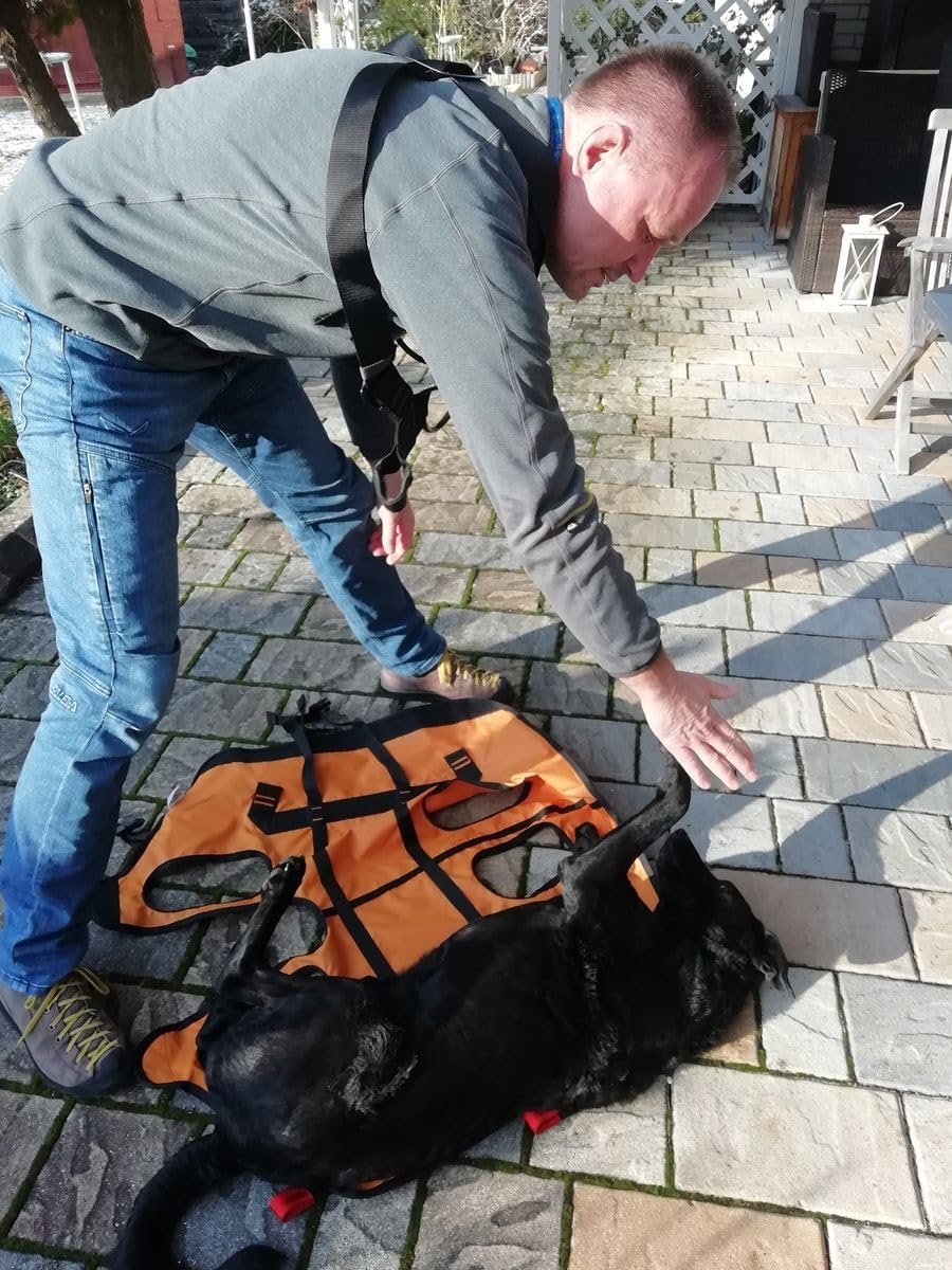 Rettungshundegeschirr Laika