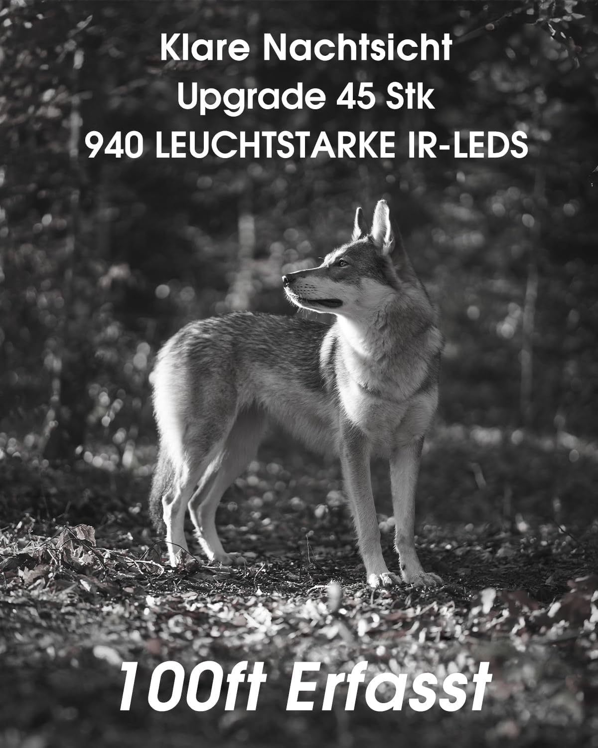 Wildkamera mit WLAN, 4K, Nachtsicht, IP67, 130° Winkel, Armeegrün