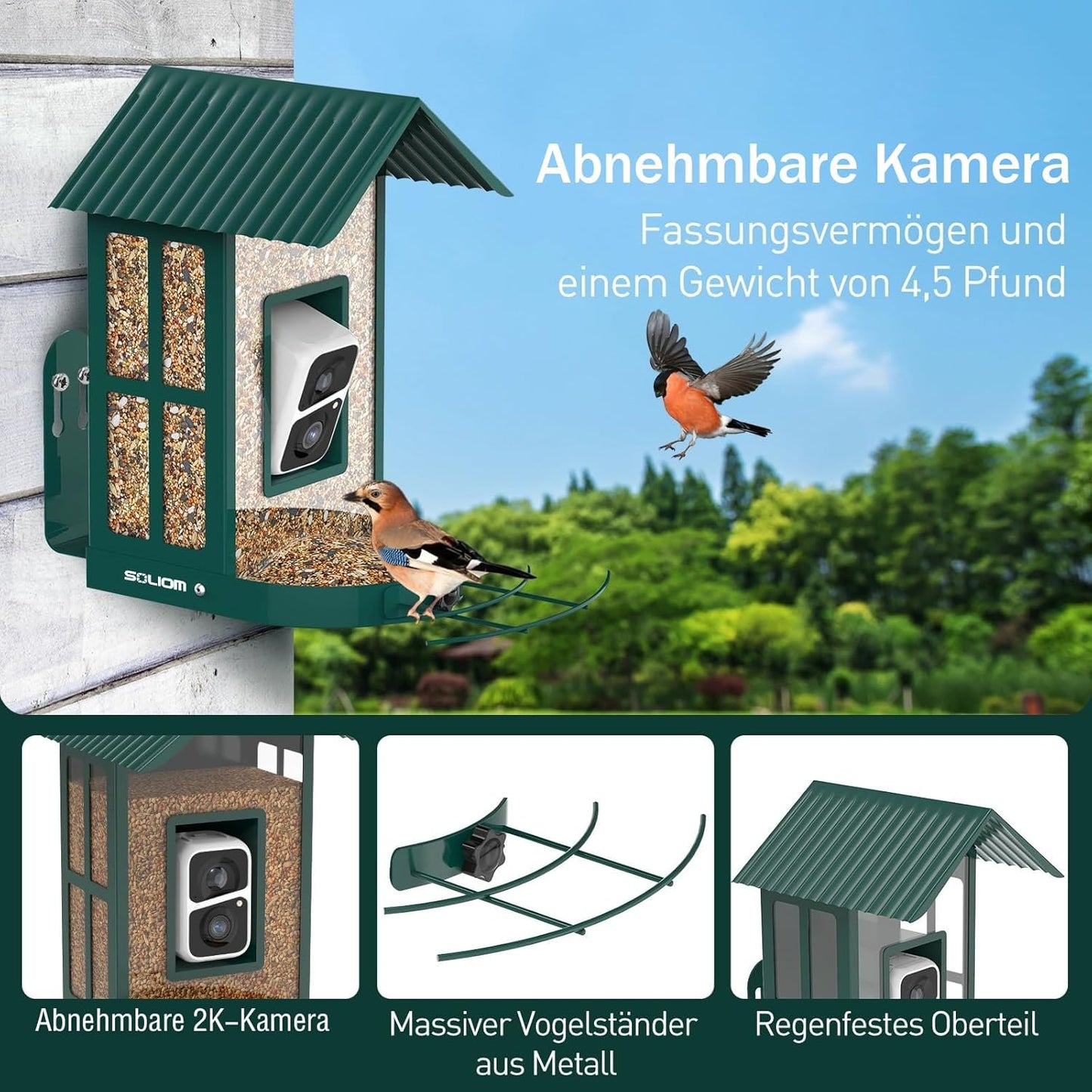 Vogelhaus mit Kamera, Grün
