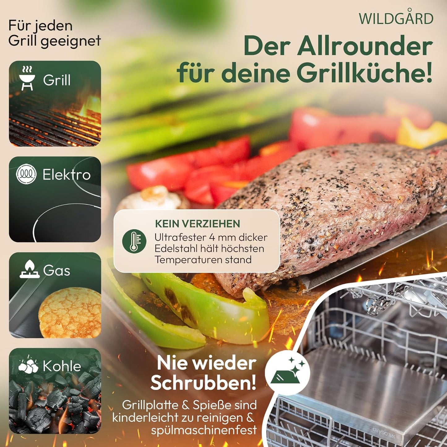 Plancha Grillplatte inkl. 2x Spachteln & 5x Spiessen, 35 x 25 cm
