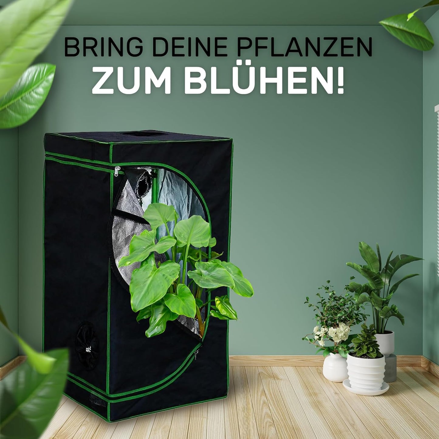 Growbox-Set, 40 x 40 x 120 cm