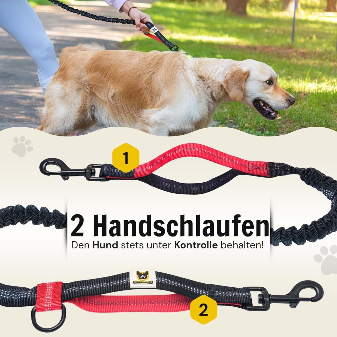 Elastische Joggingleine mit gepolstertem Bauchgurt, rot