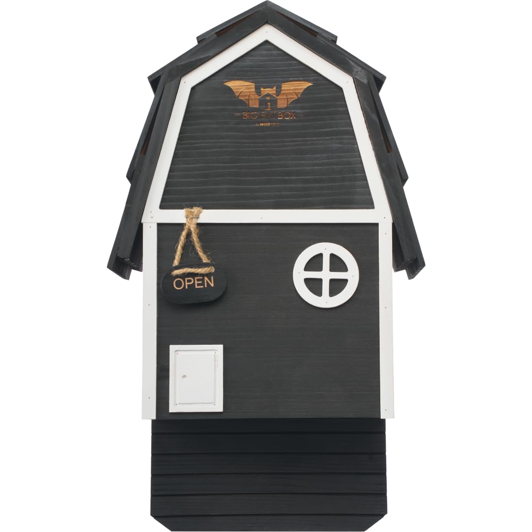 Fledermauskasten Big Bat Barn Junior mit 2 Kammern, Big Bat Barn Mini Black