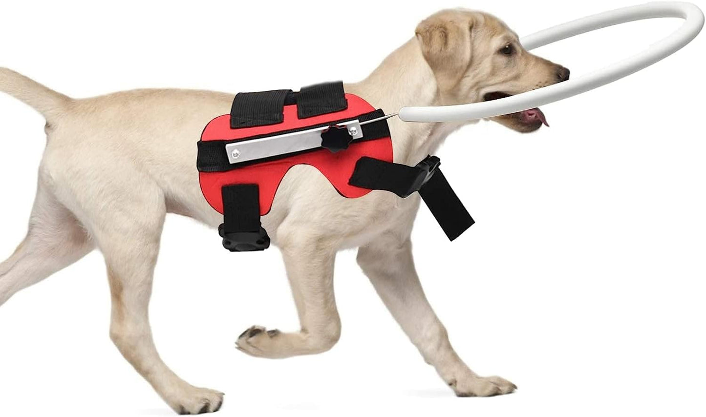 Anti-Kollisionsring für blinde Hunde, MYFZ02