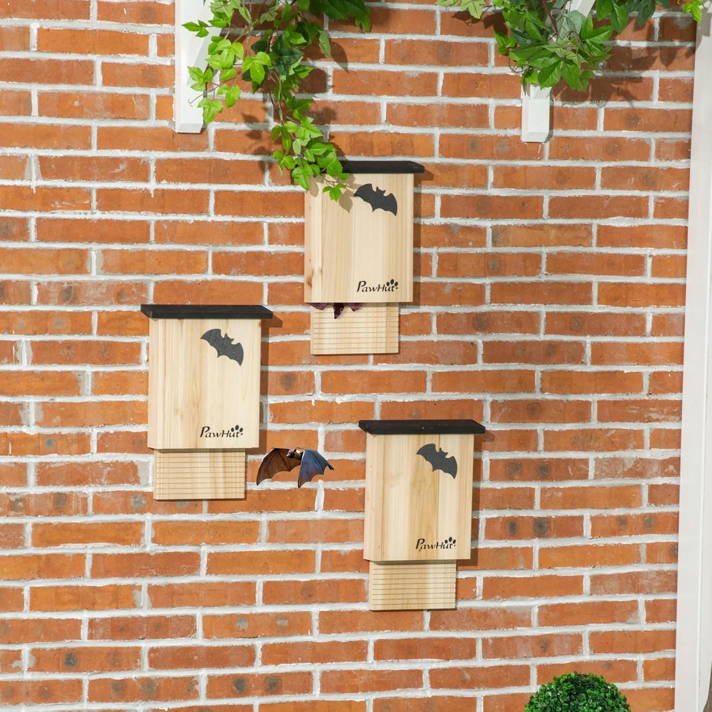 Fledermauskasten Tannenholz Naturholz