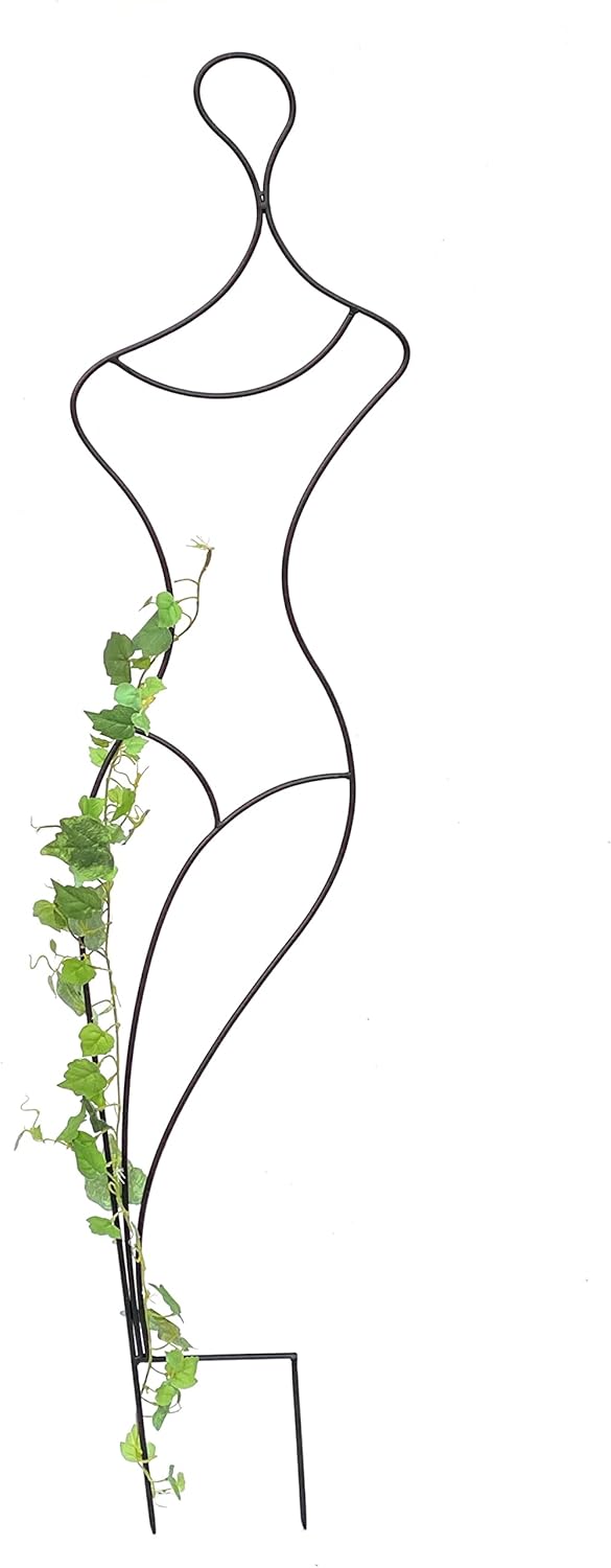 Design Rankhilfe Frau Gracia
