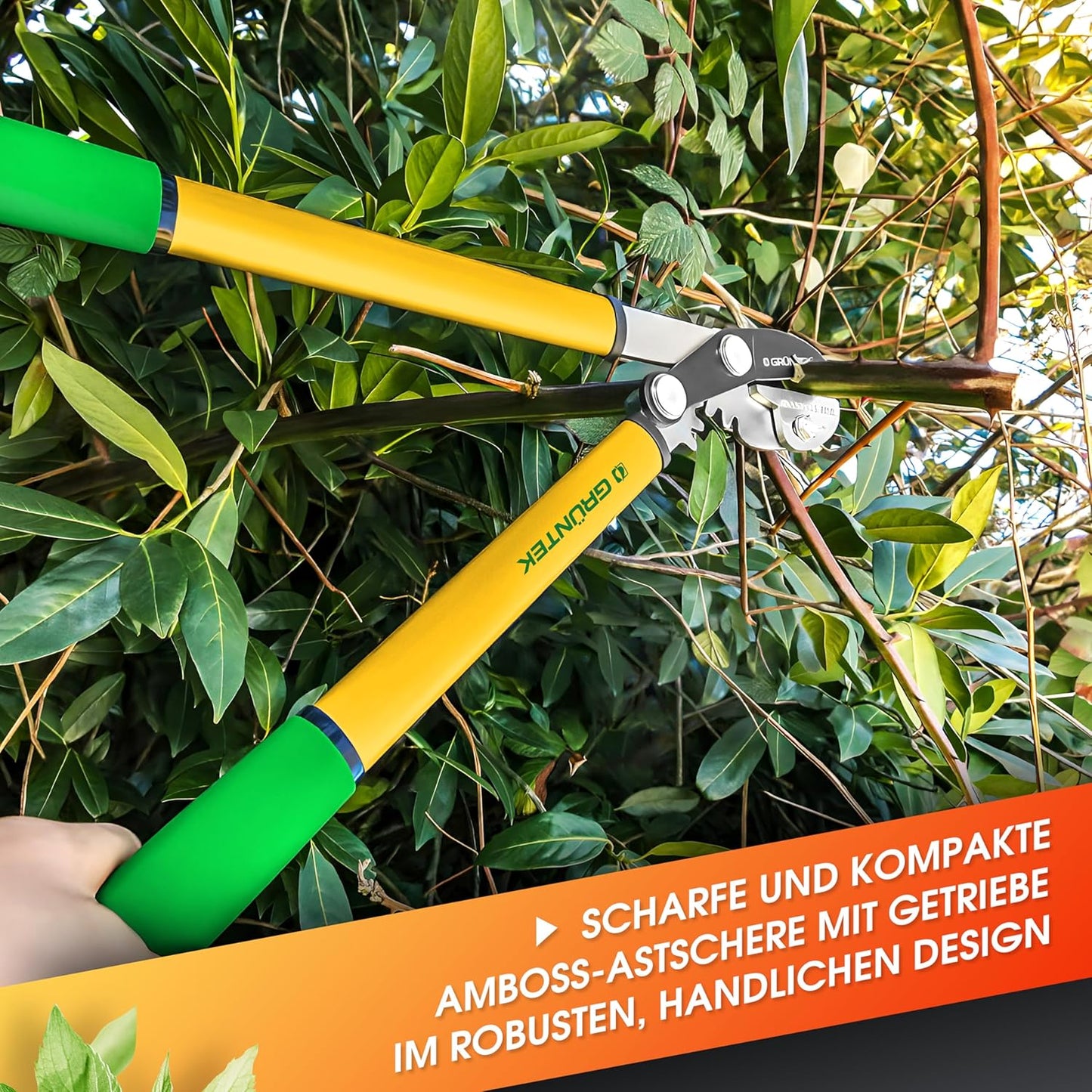 Astschere mit Metall-Amboss & Antihaftklingen