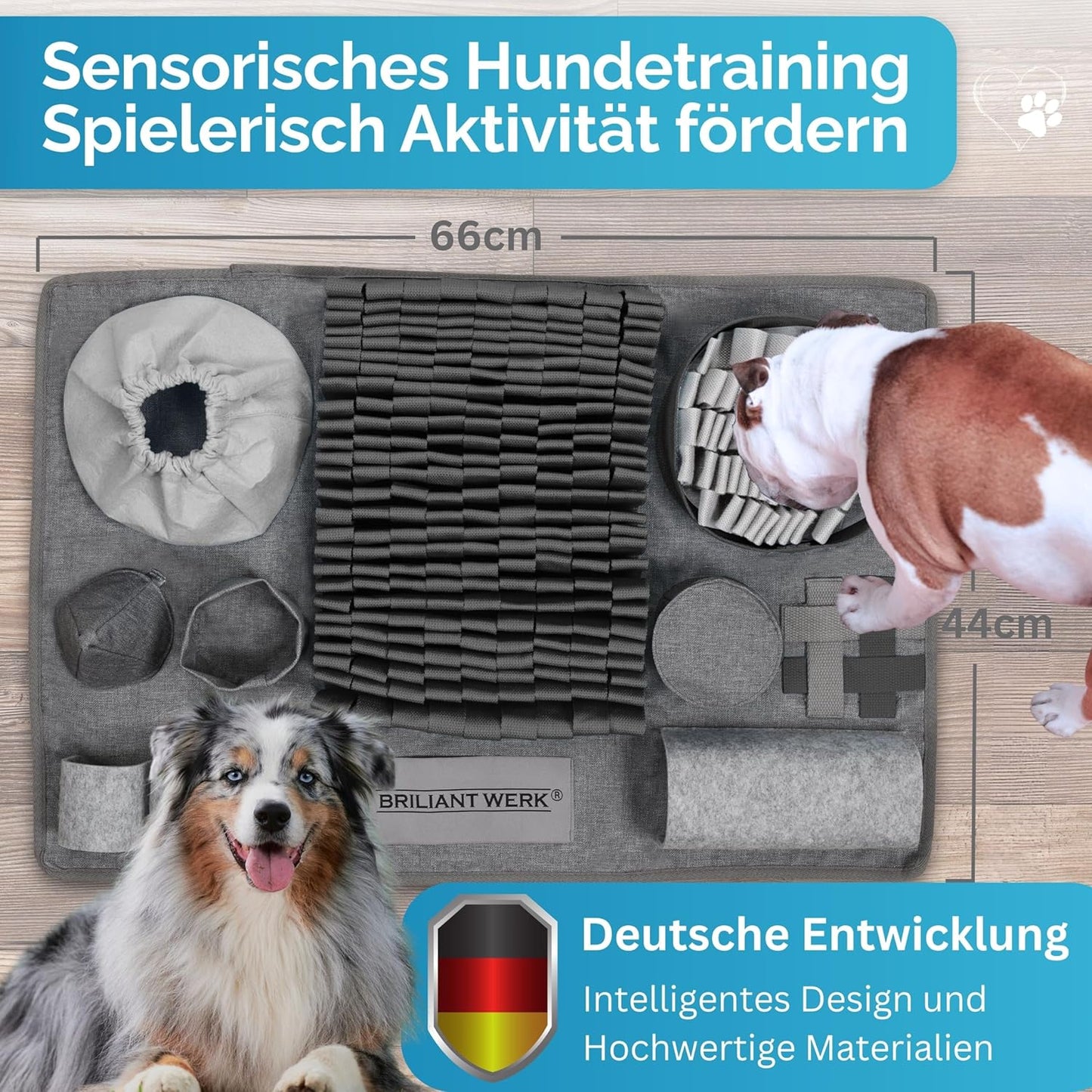 Schnüffelteppich mit 10 Trainingselementen und 3 Schwierigkeitsstufen, gross Grau