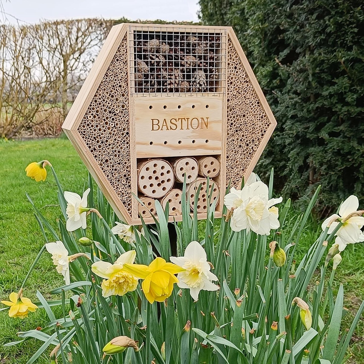 Bastion XL Insektenhotel