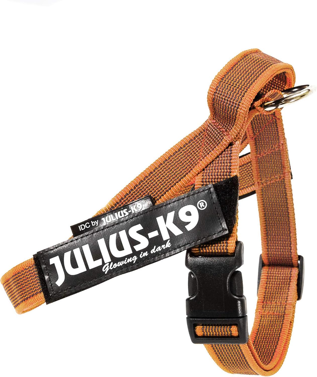 Color & Gray - Beltgeschirr für Hunde, S / Mini orange-grau