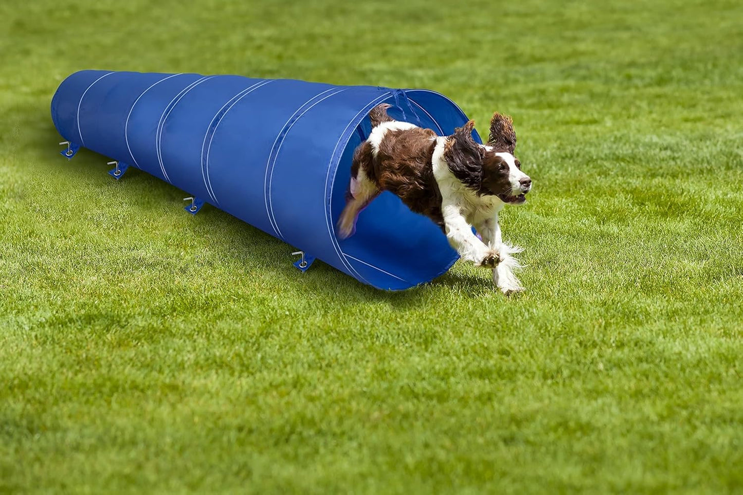 Hundetunnel, 3M, faltbar