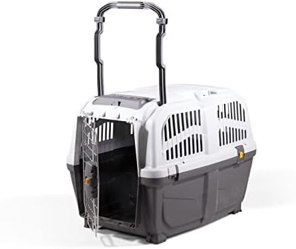 Transportbox Skudo 4