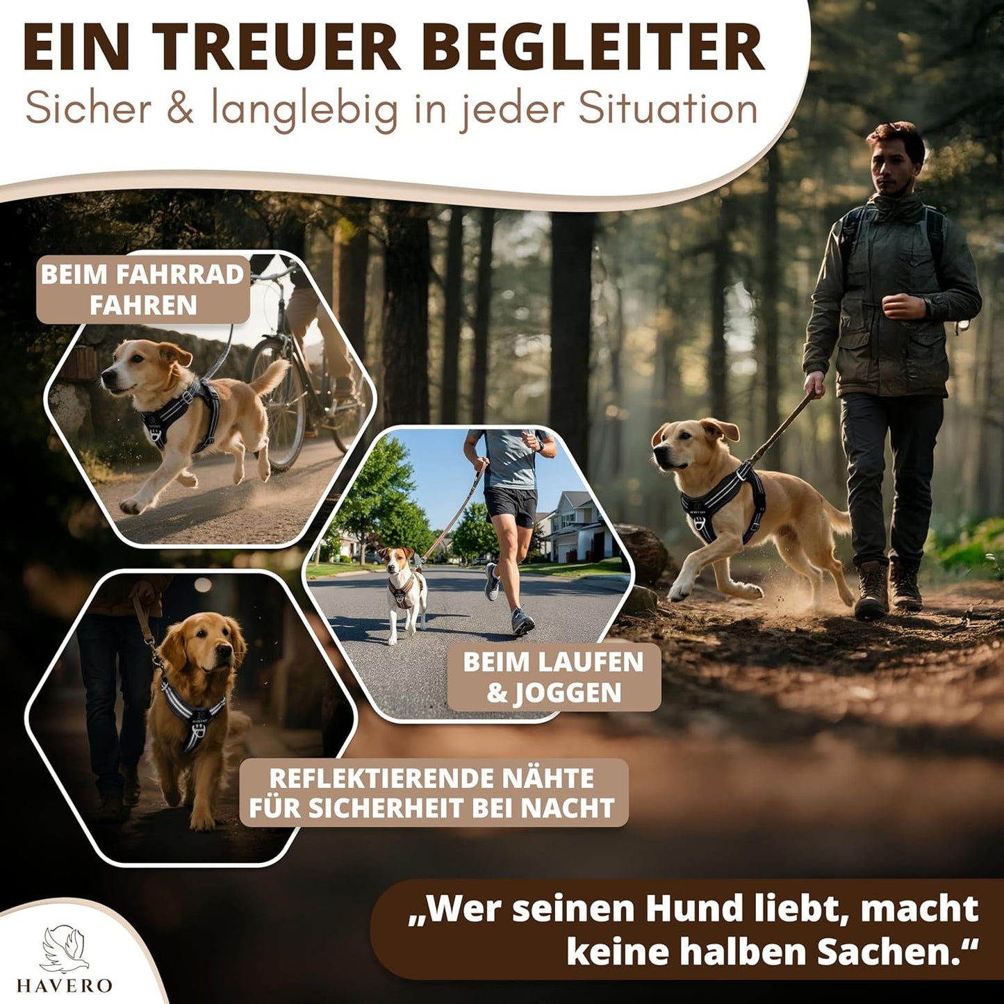 Hundegeschirr Easy-On-Clip, Schwarz M