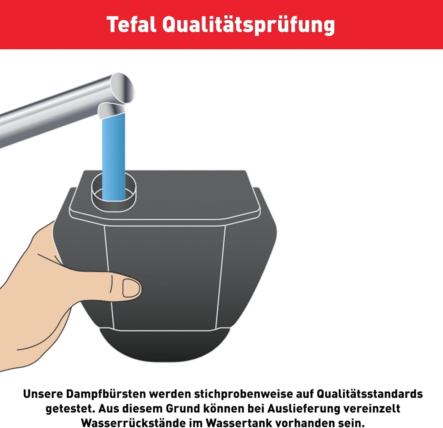 Access Steam Easy Dampfbürste DT7170, Für Zuhause