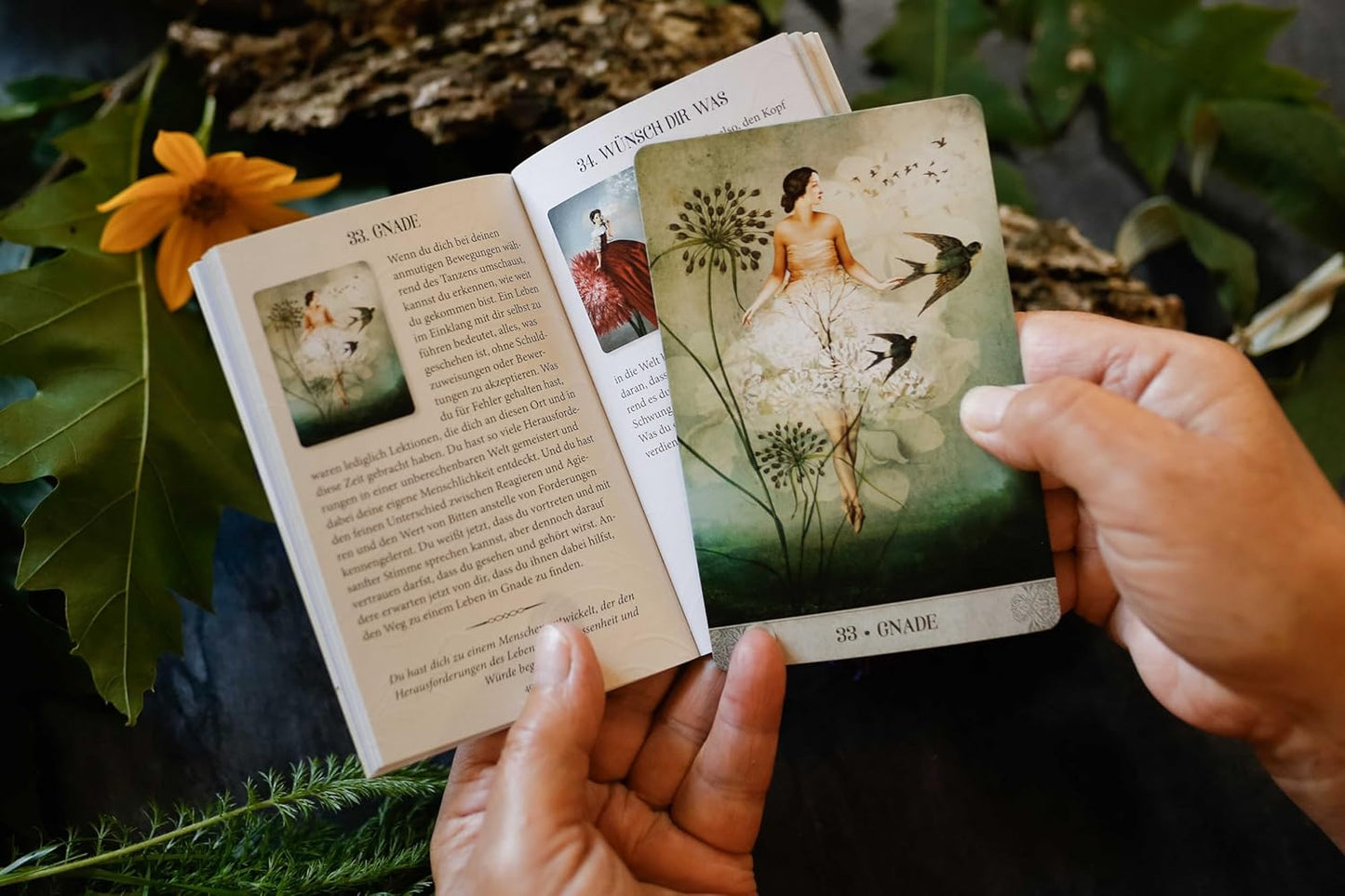 Orakelkarten-Set Botanical Dreams, Taschenbuch