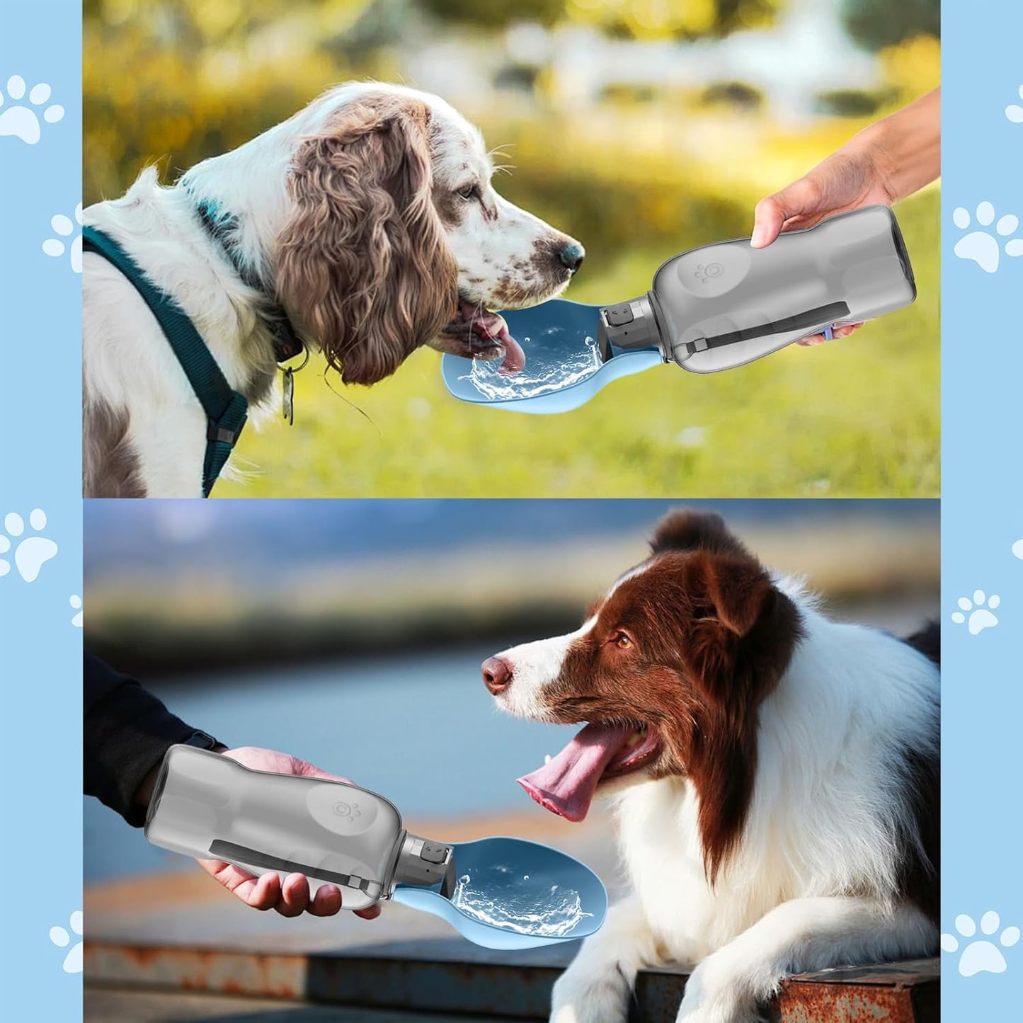 Hundetrinkflasche, Blaugrau