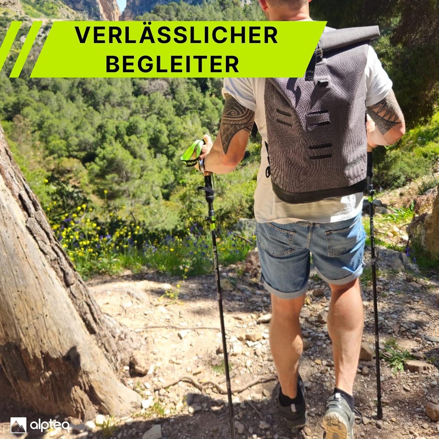 Faltbare Trekkingstöcke, Carbon 115-135 cm | Lime Green