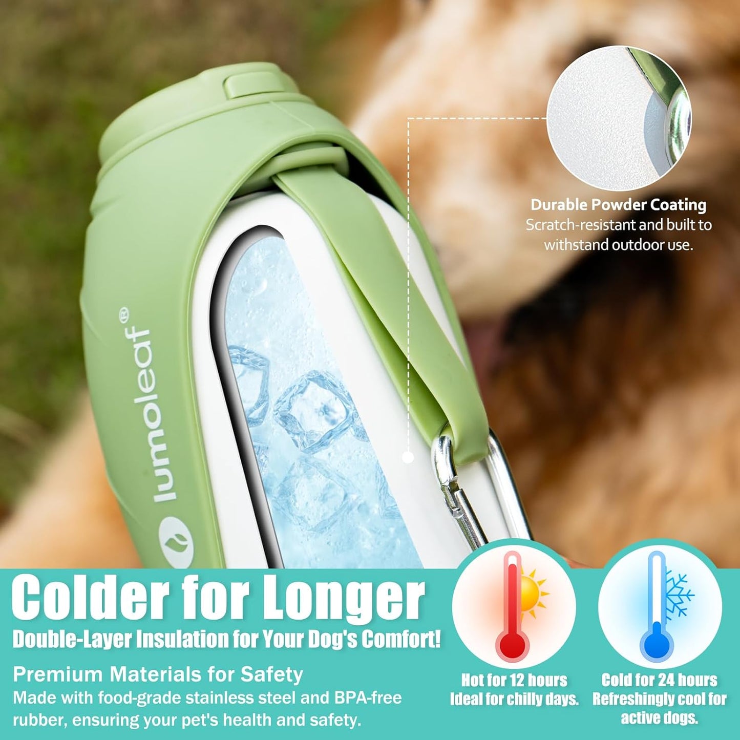 Isolierte Wasserflasche für Hunde, Grün 800 ml