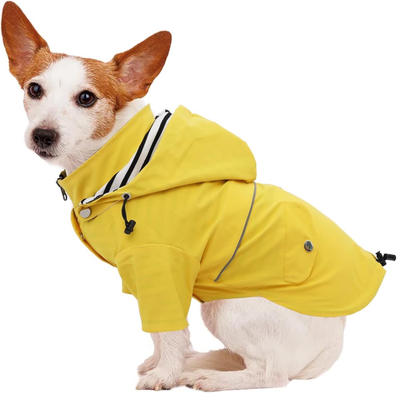 Hunde-Regenjacke mit abnehmbarer Kapuze, XS Gelb