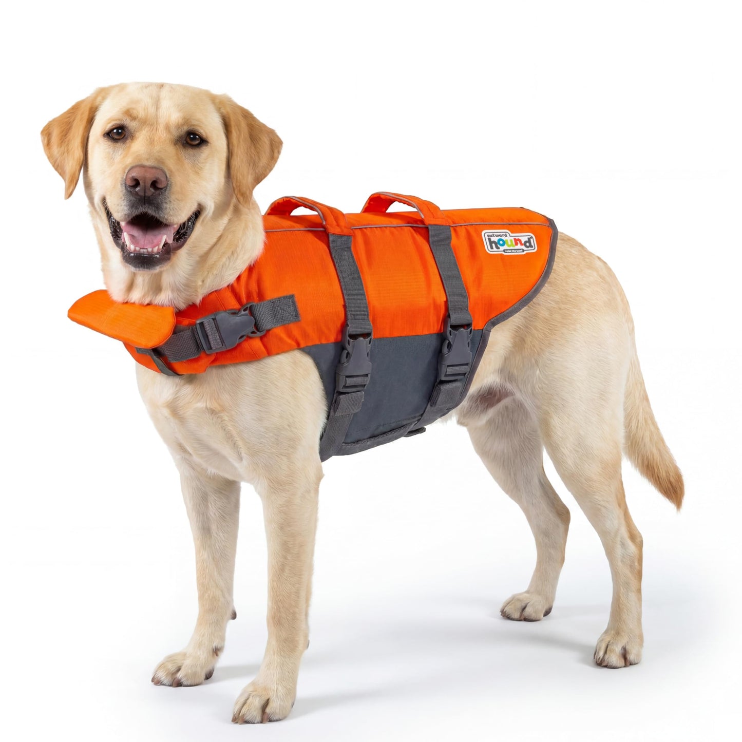 Verstellbare Rettungsweste für Hunde, L