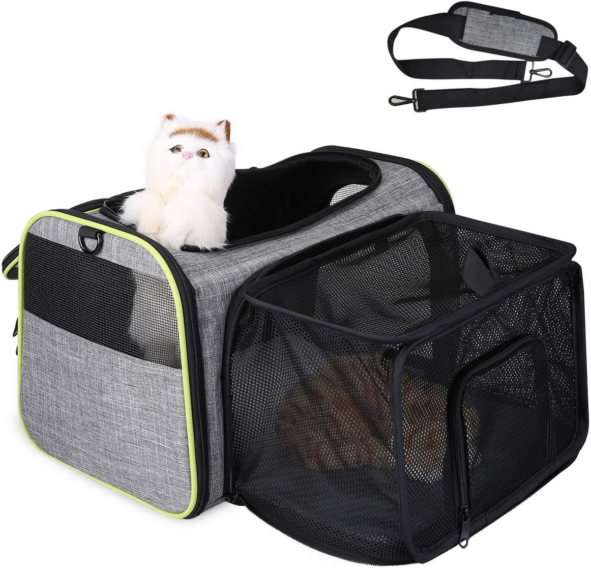 Transportbox