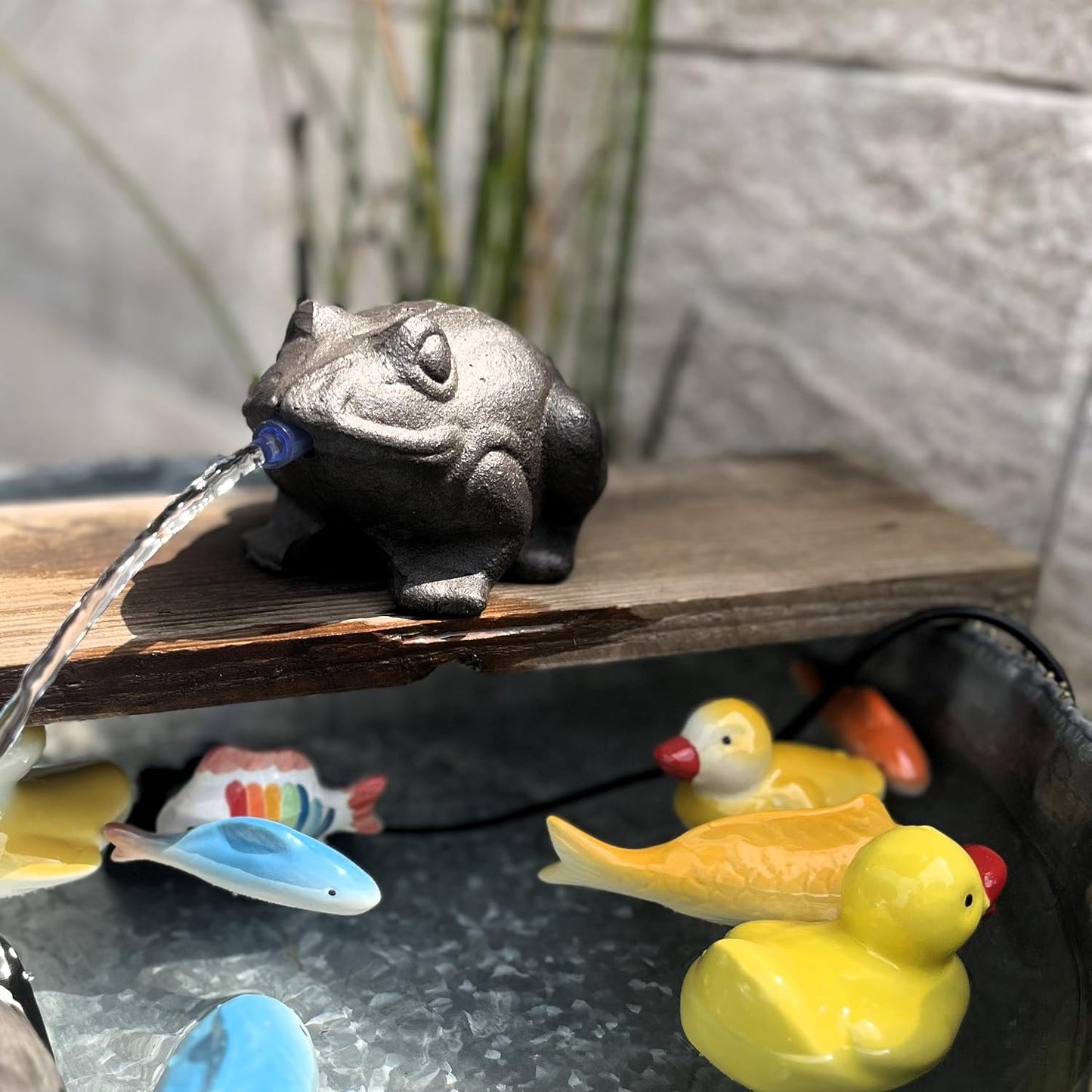 Wasserspeier-Frosch mit Aussenpumpe