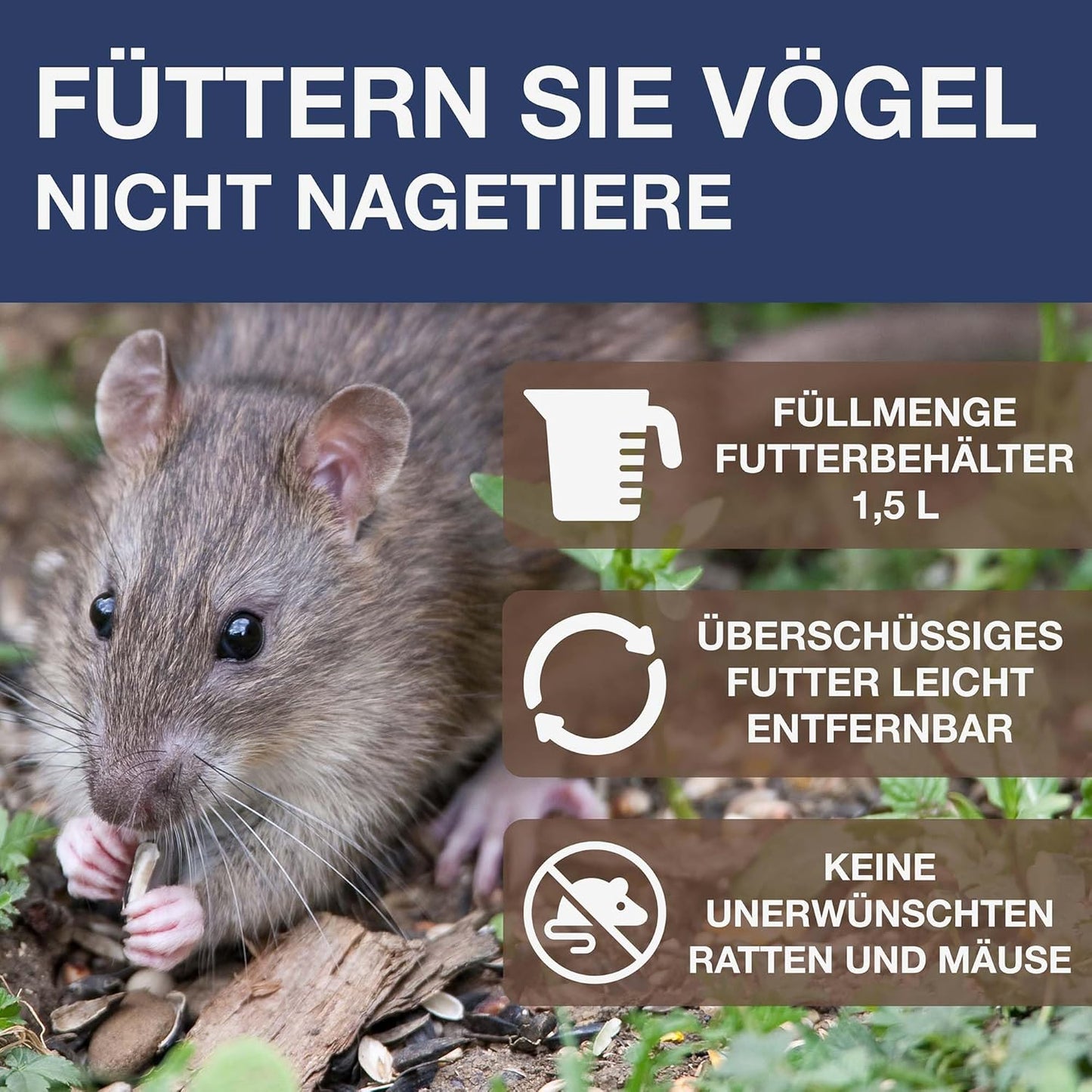 Vogelfutterhaus Davos, Indigo Davos