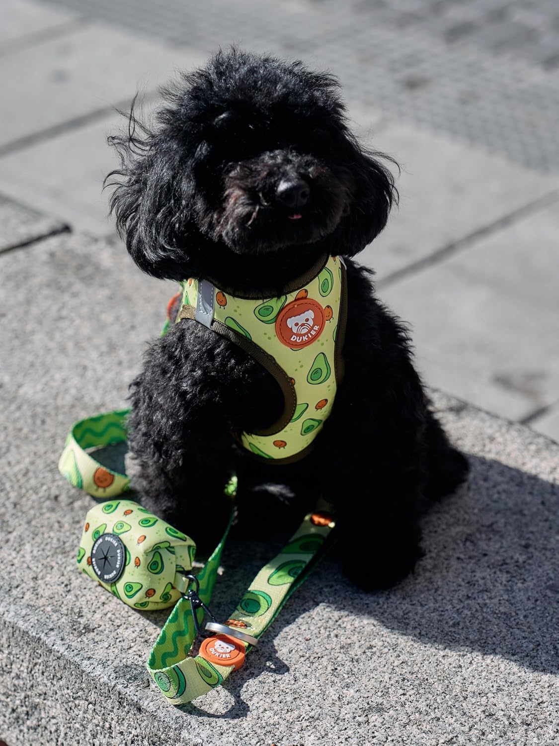 Verstellbares Hundegeschirr XL, Avocado XL