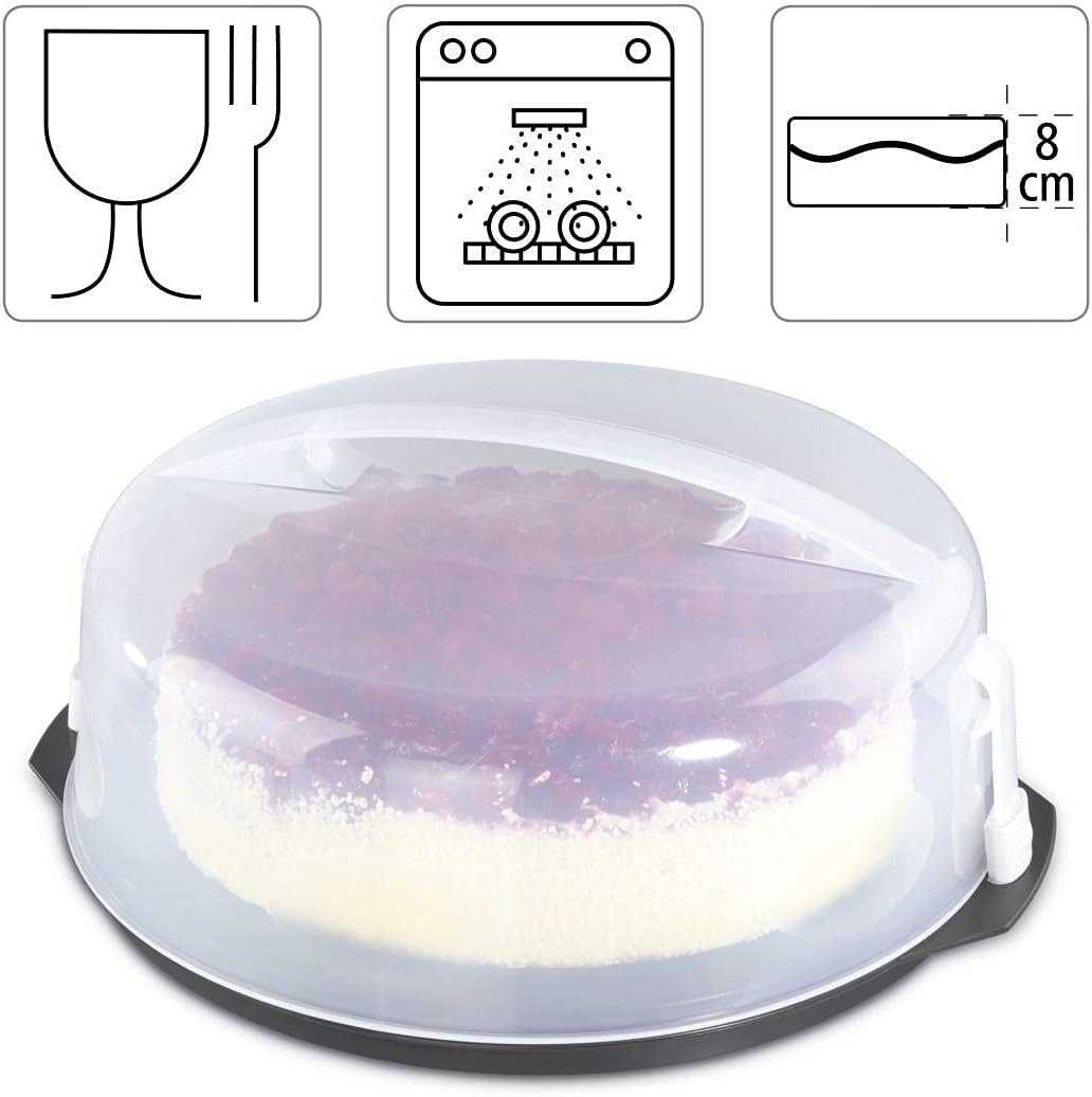 Kuchenbox, Kuchen Trabsportbox