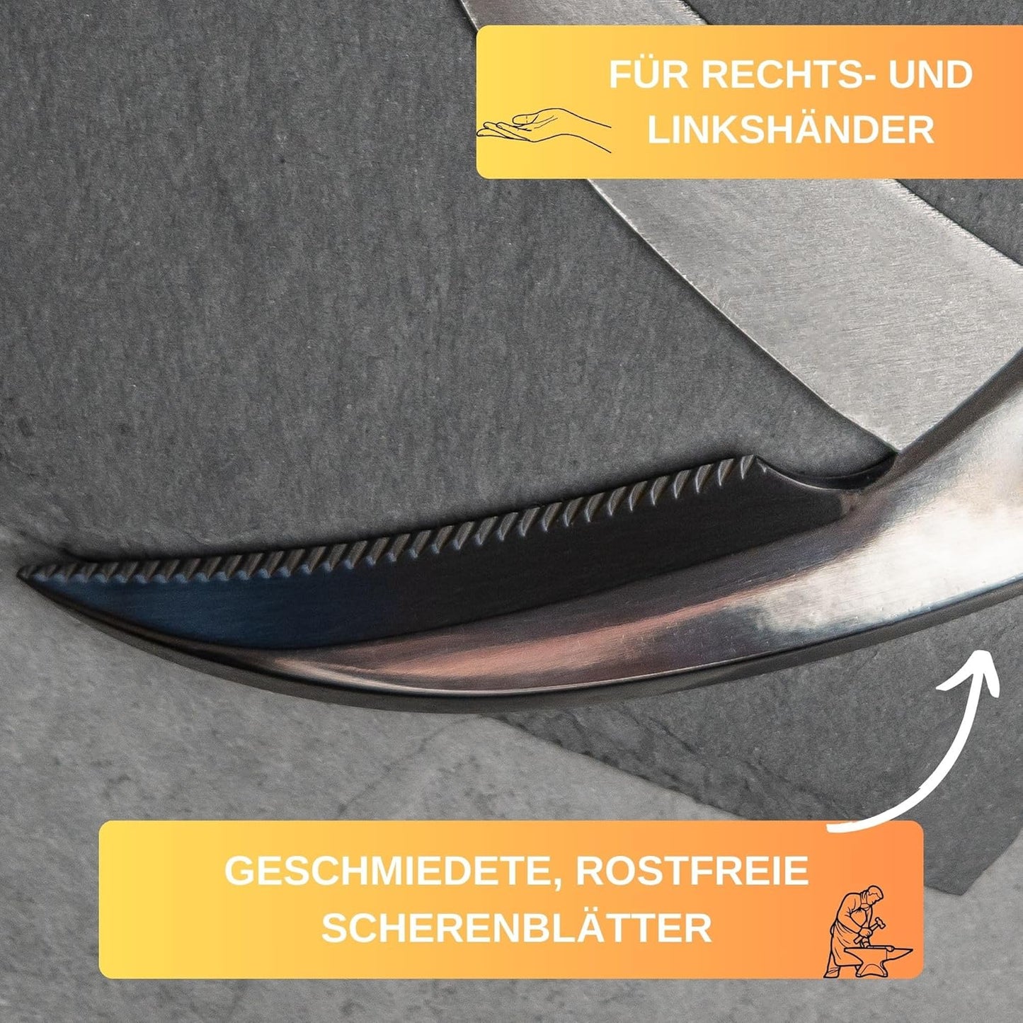 Geflügelschere
