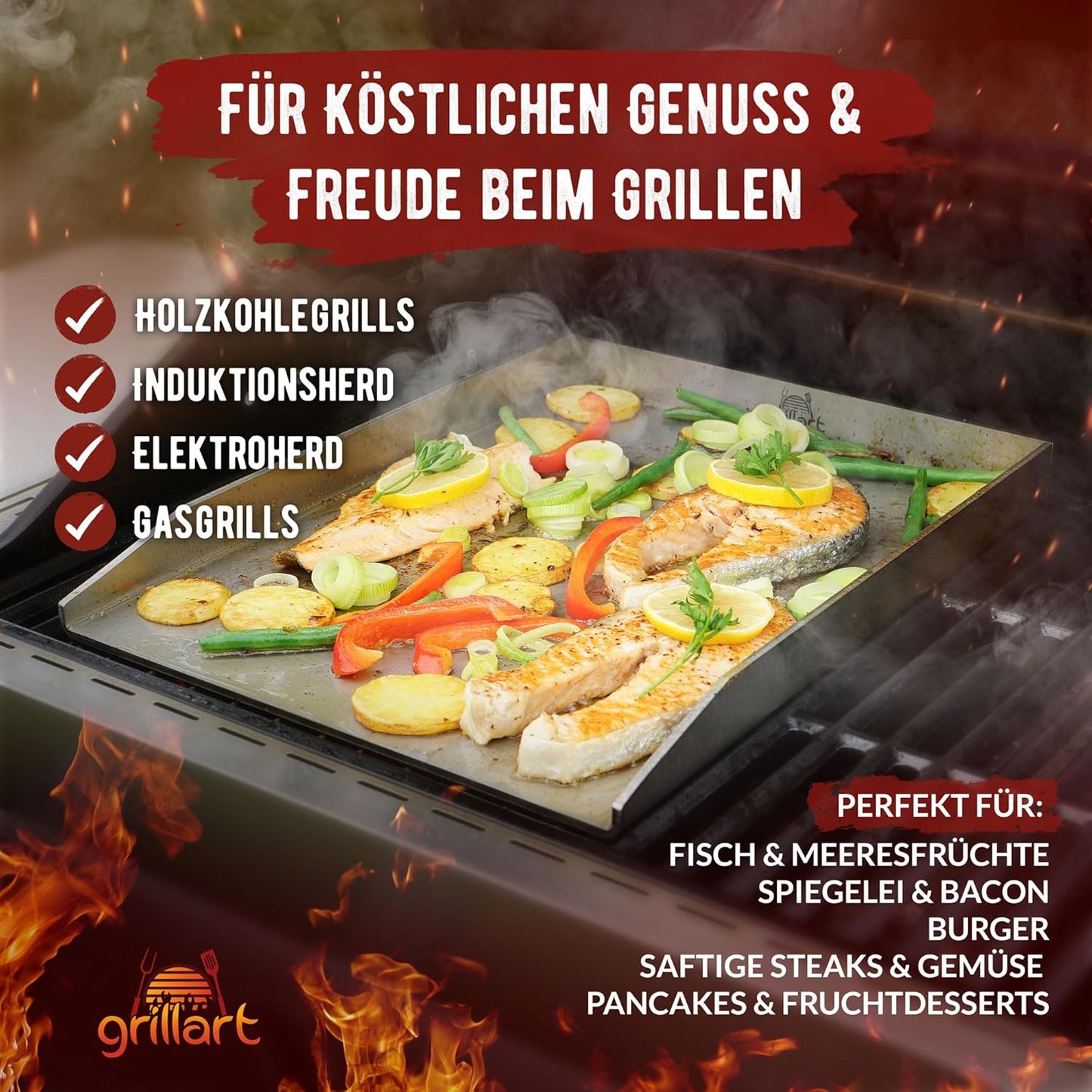 Plancha Grillplatte, 30x40cm - Universalgrösse