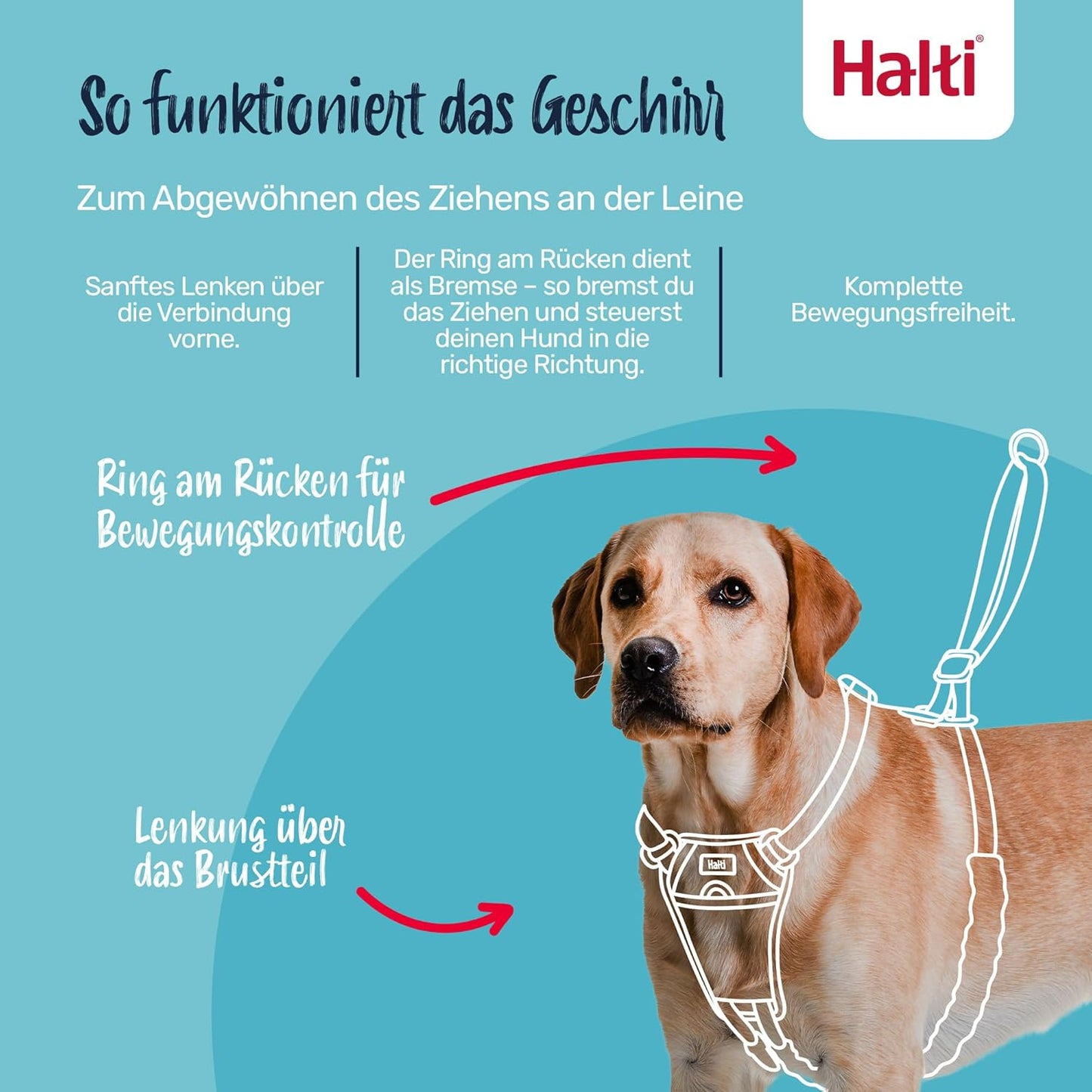 Anti-Zug Hundegeschirr, Dunkelorange / XS