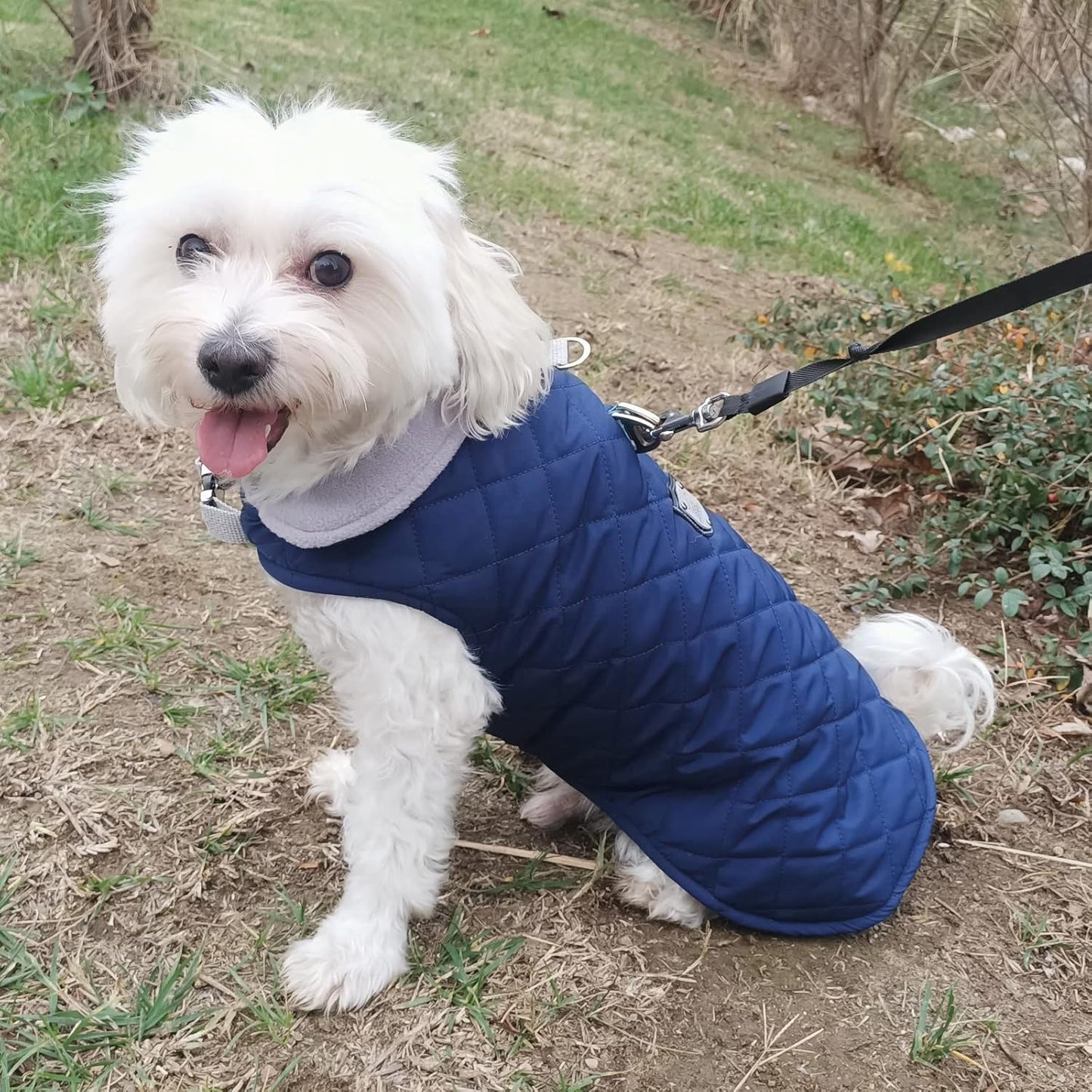 Wasserabweisender Hundemantel, XL / Blau