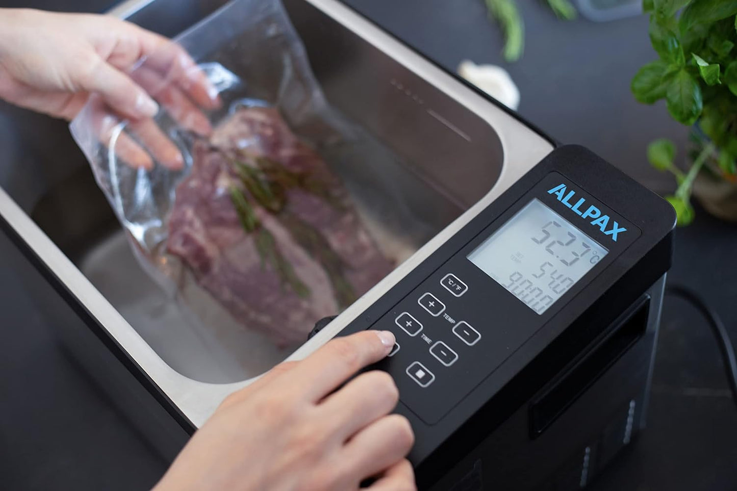 SV 12 Sous Vide