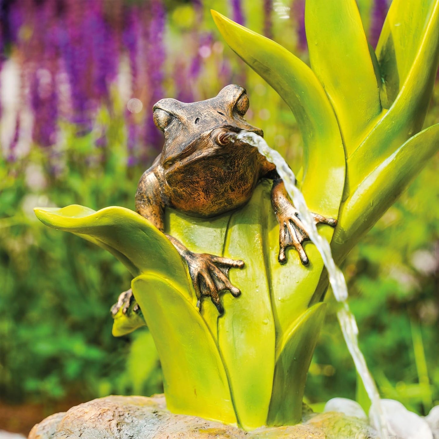 Solar-Wasserspeier-Set Frosch