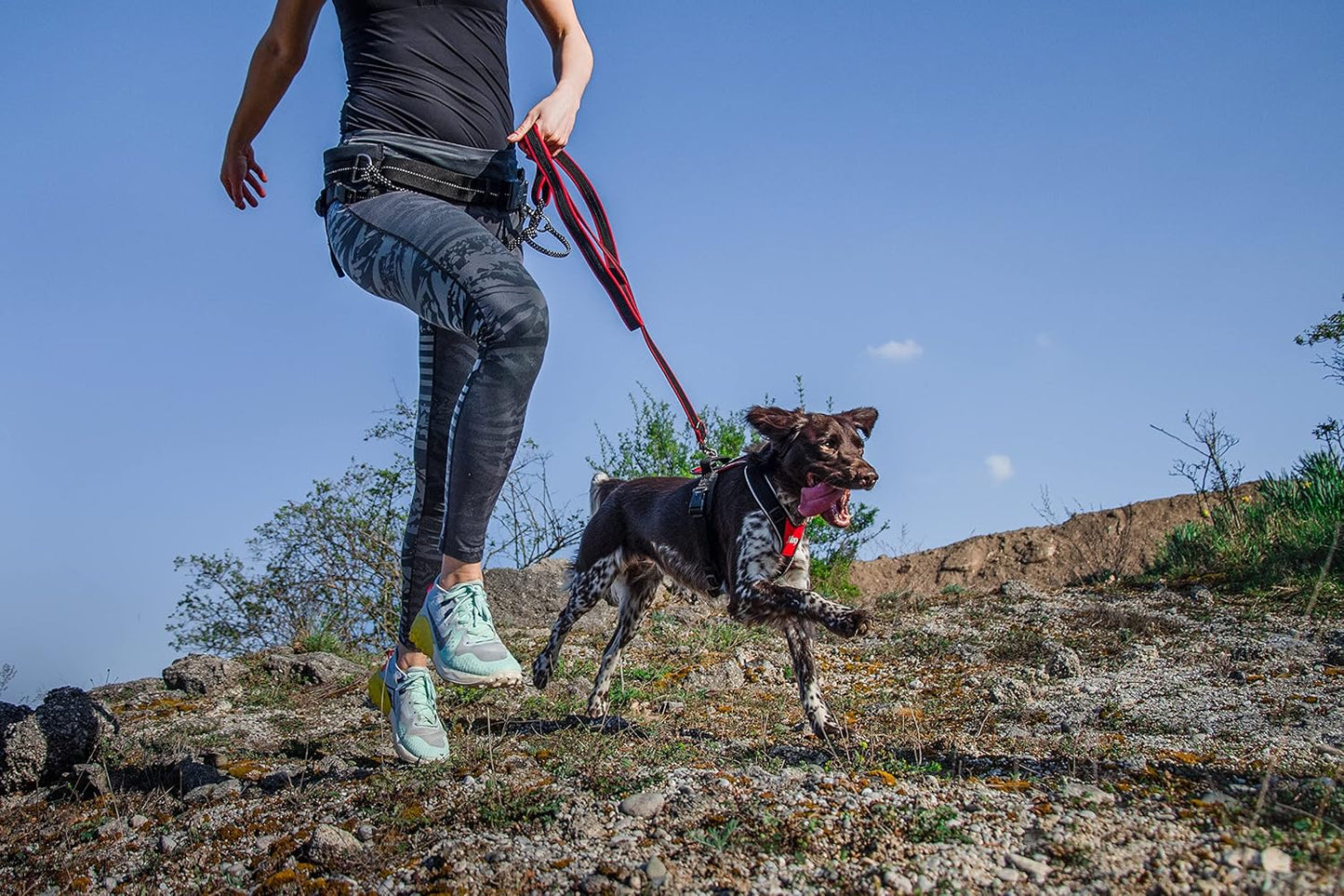 Speed Hundegeschirr, Rot S