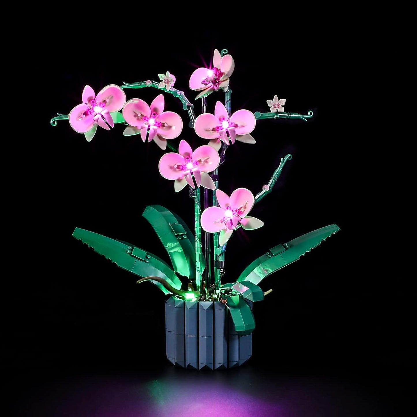 Licht-Set für Lego Orchidee (10311), 10311 Orchidee