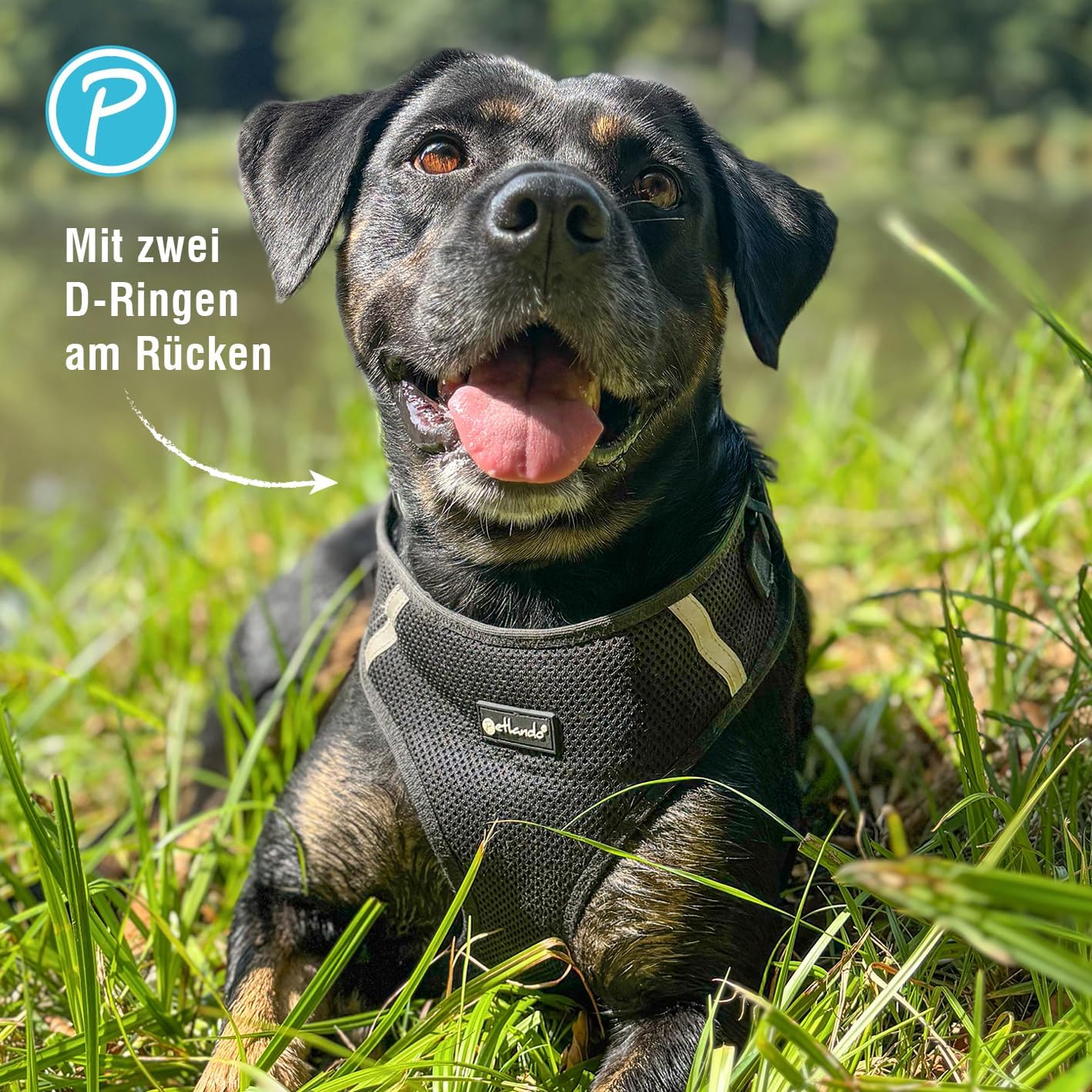 Hundegeschirr Mesh Vest, Schwarz XL