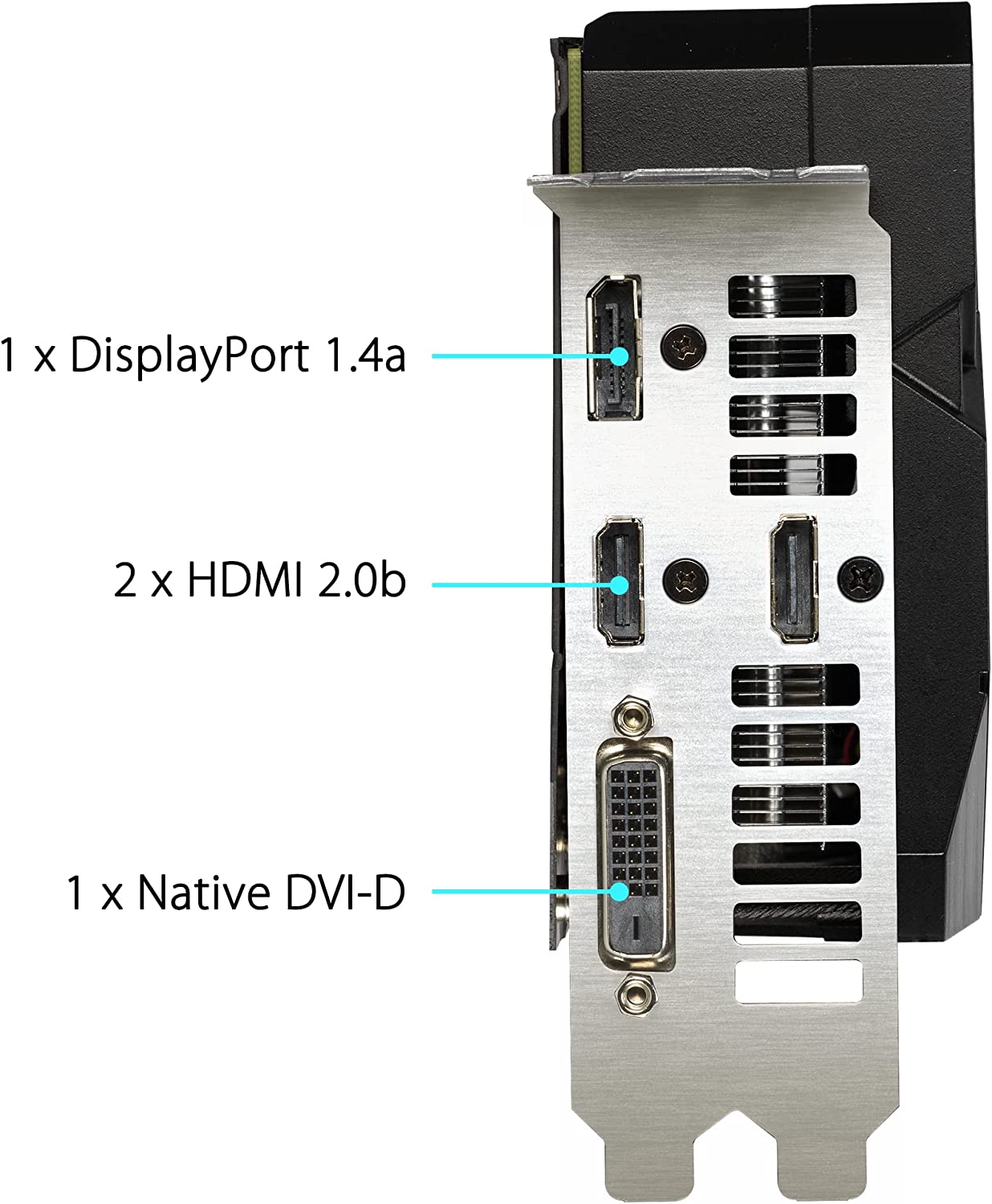 GeForce RTX 2060 DUAL EVO OC, Grafikkarte, 6G OC Edition