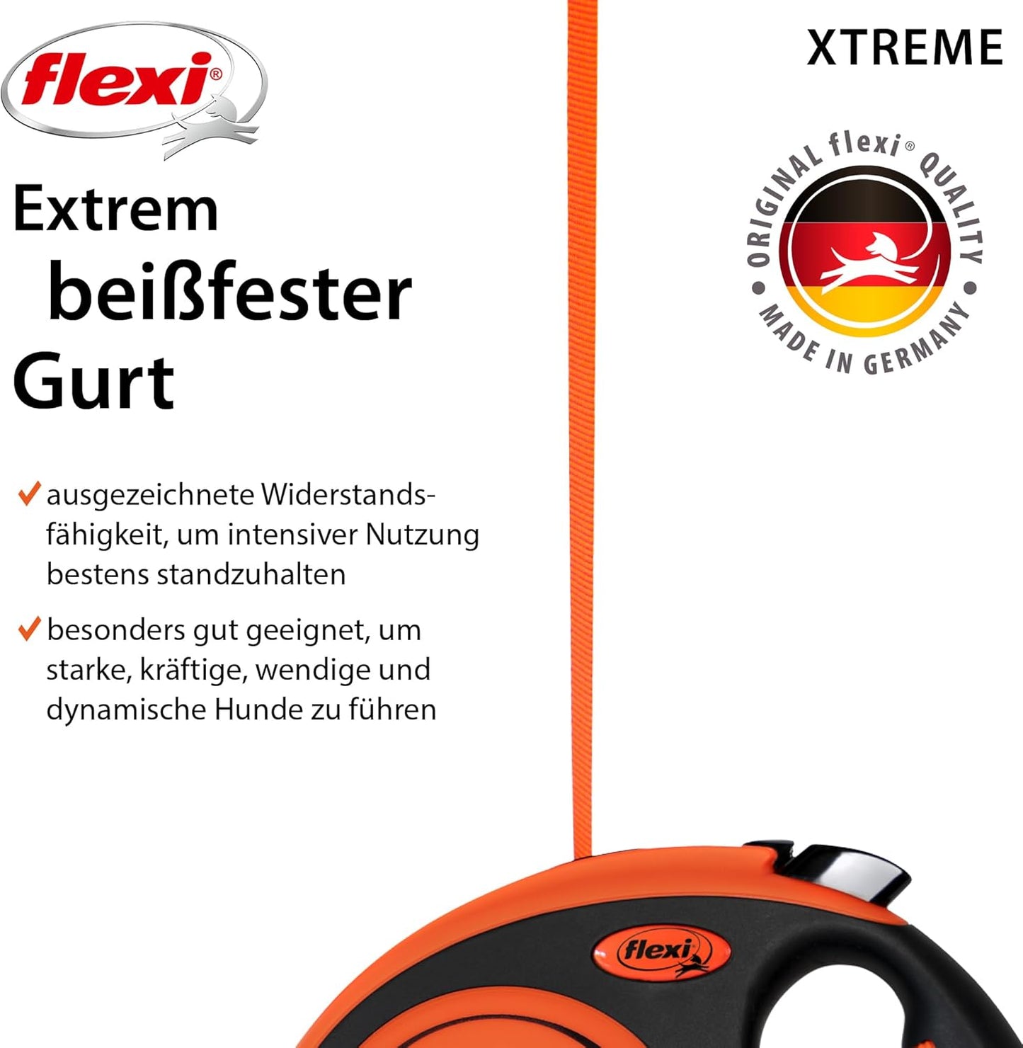 Xtreme, L (1er Pack)