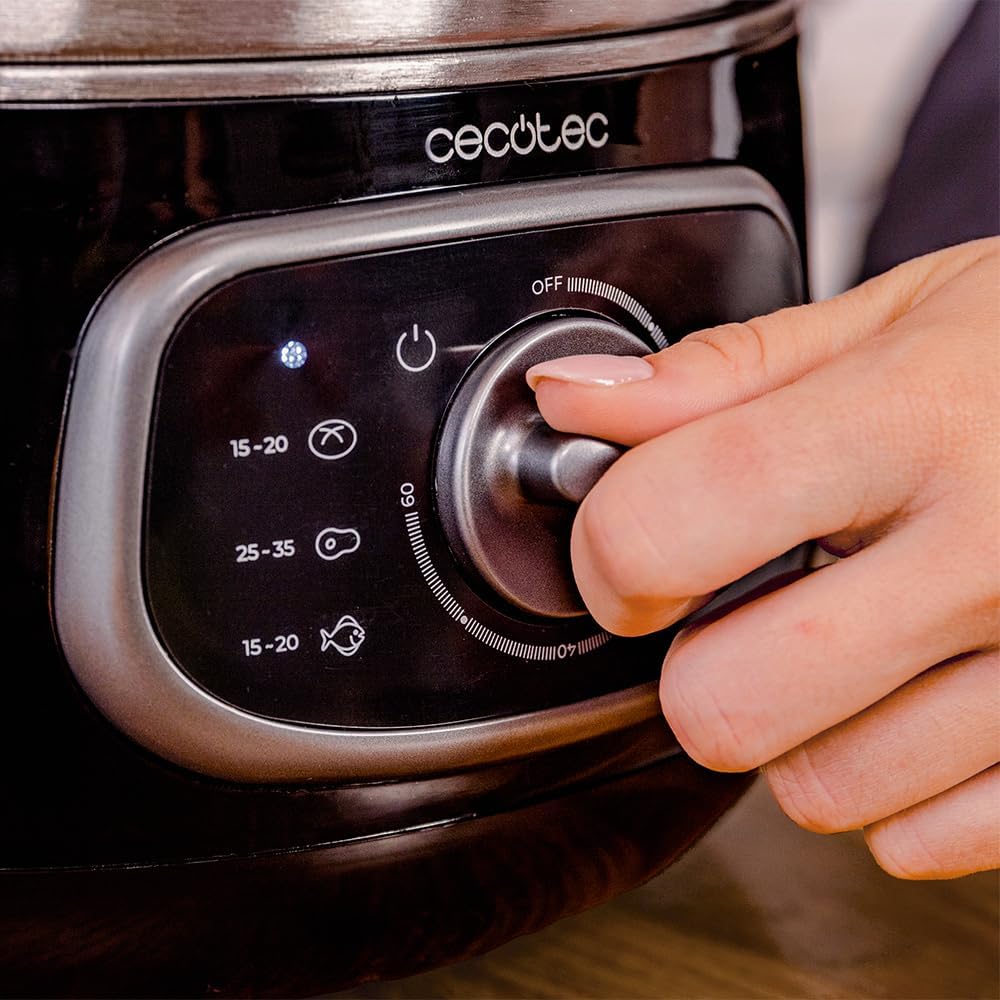 Elektrischer Dampfgarer Vapovita Steelpot
