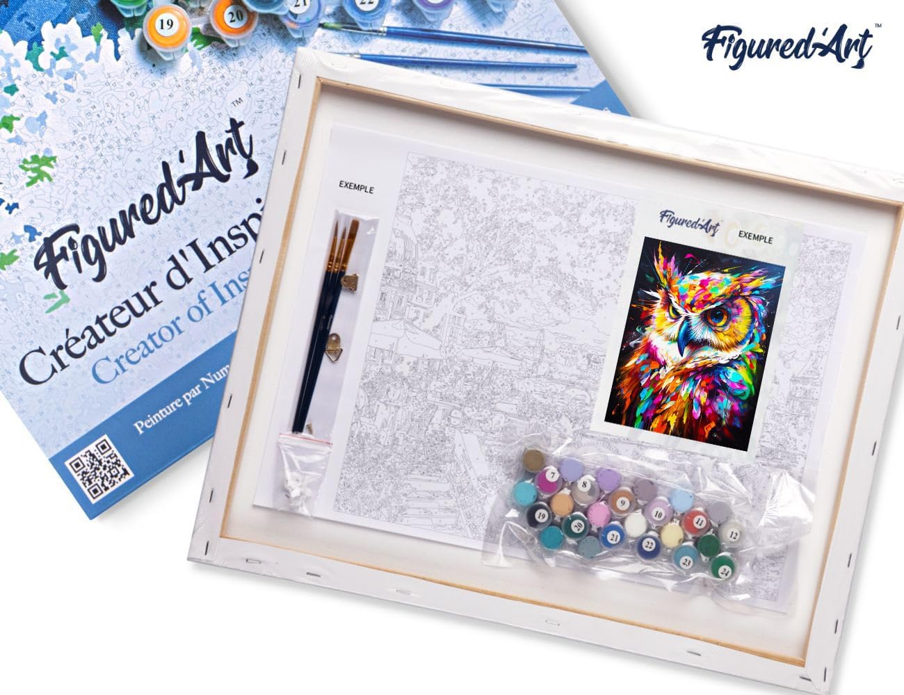 Malen Nach Zahlen Set Eule, Eule Farbenfroh Abstrakt 40x50cm Mit Rahmen (bereits gespannt)
