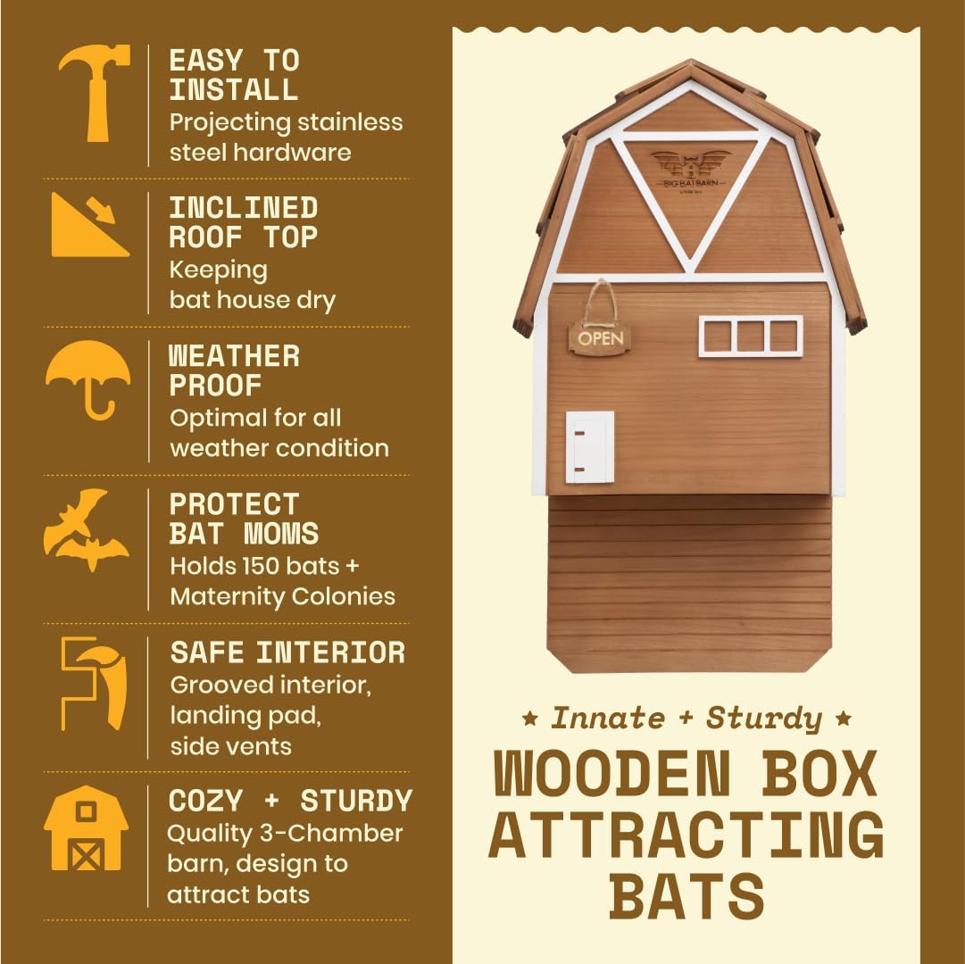 3-Kammer-Fledermaushaus Big Bat Barn, 3 Chamber Big Bat Barn Brown